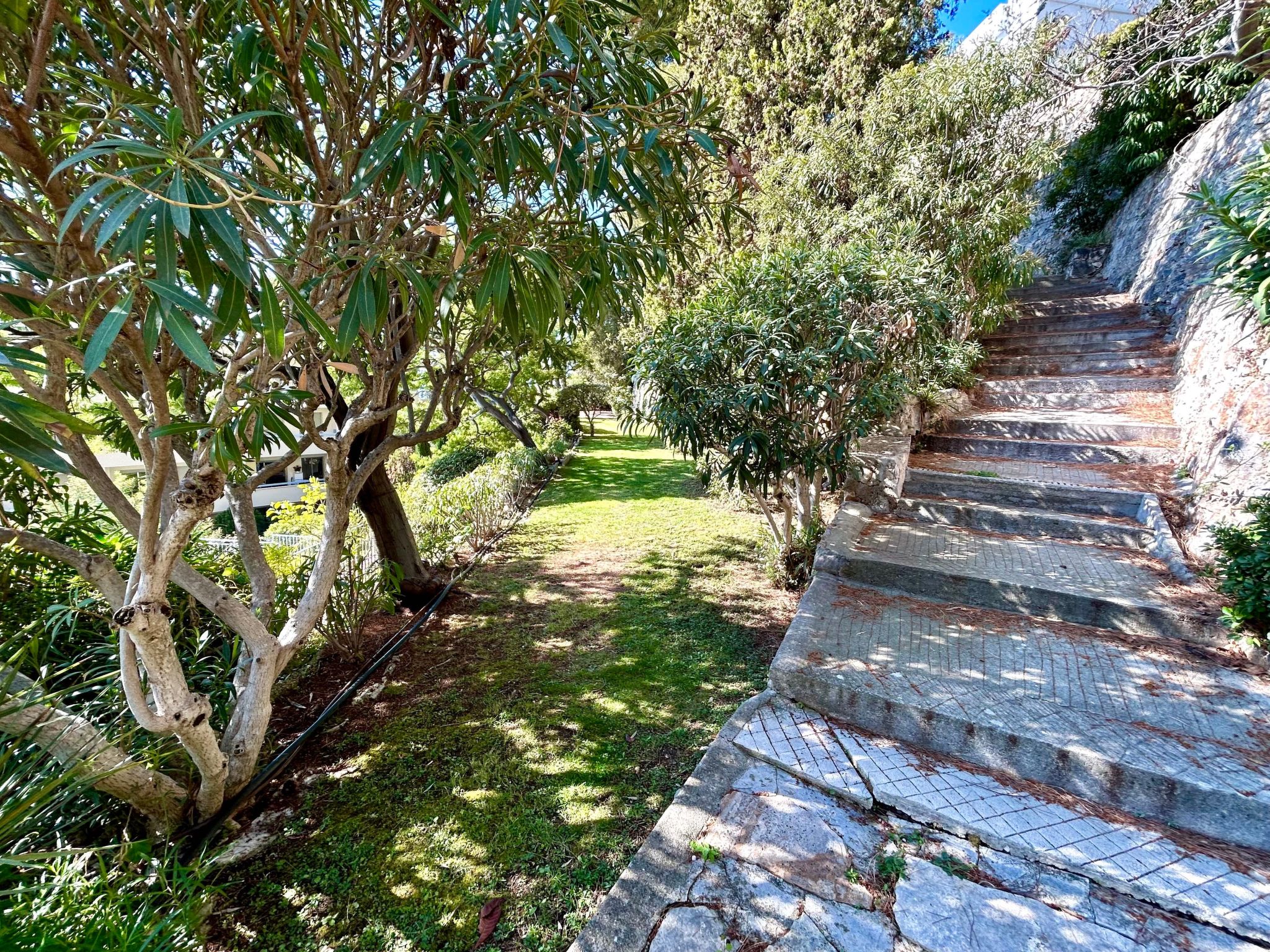 Studio mit großzügiger Terrasse und Panoramablick-Image-tags.info