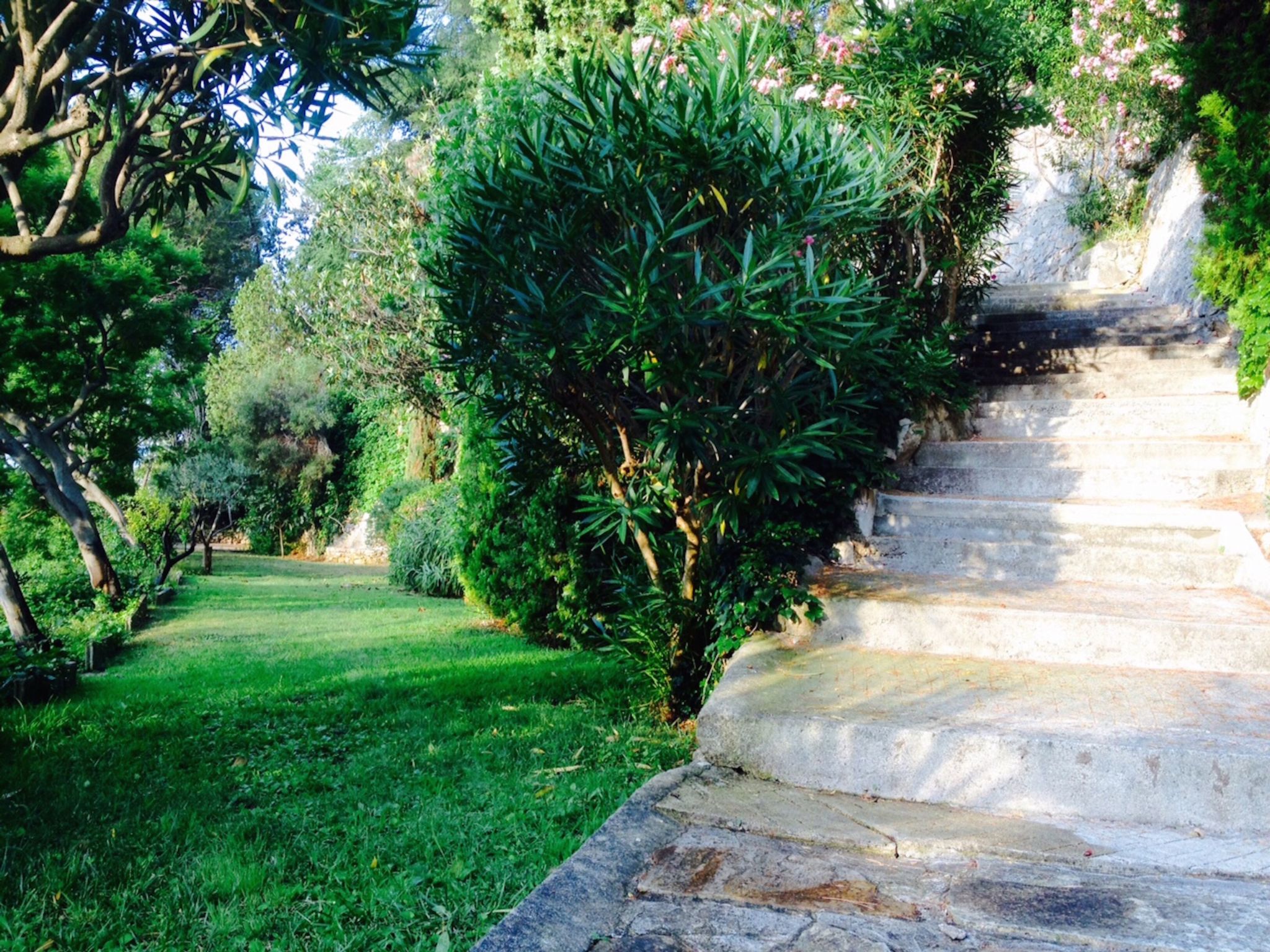 Studio mit Terrasse und Panoramablick-Image-tags.info