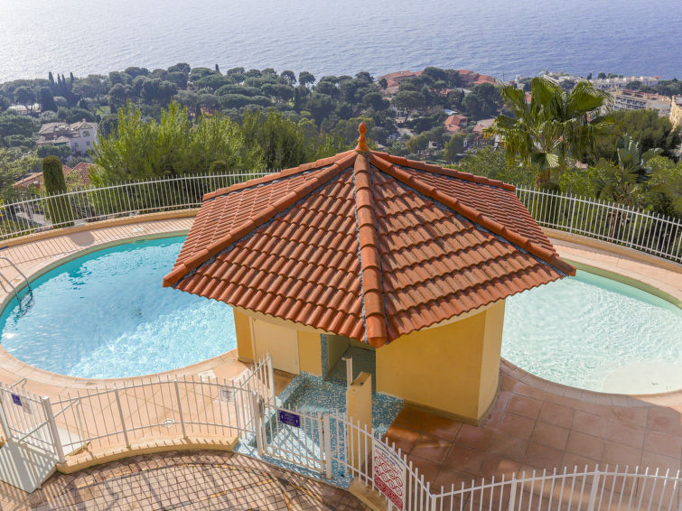 Photo of Le Chevalier