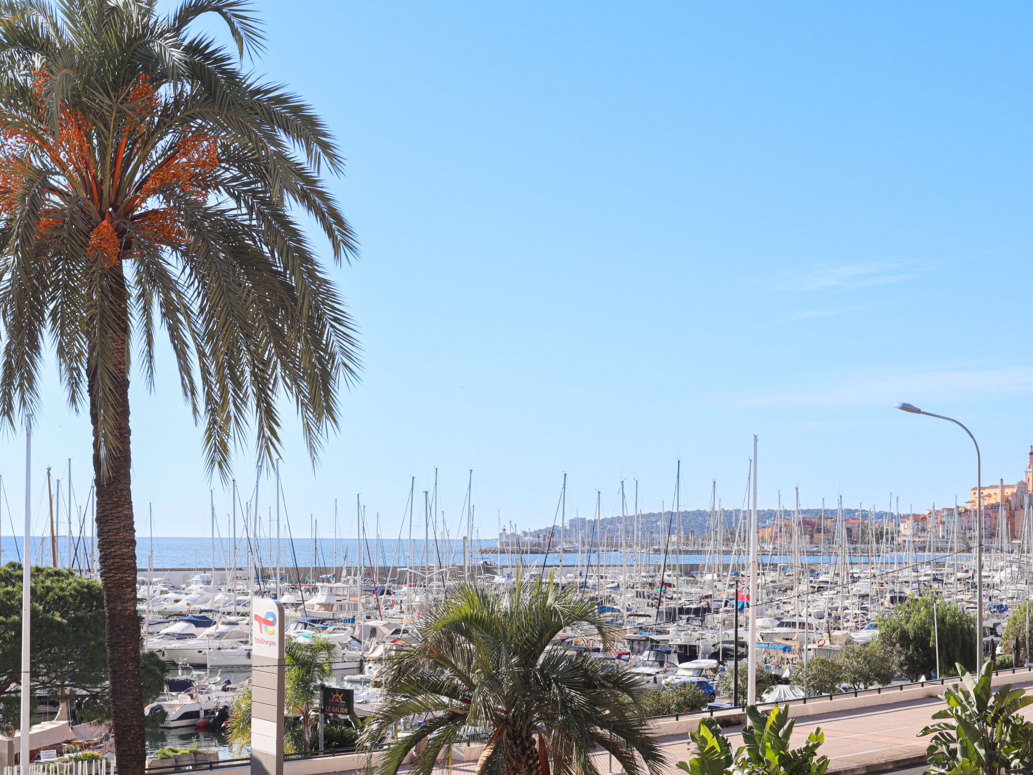 Photo of Le Diplomate