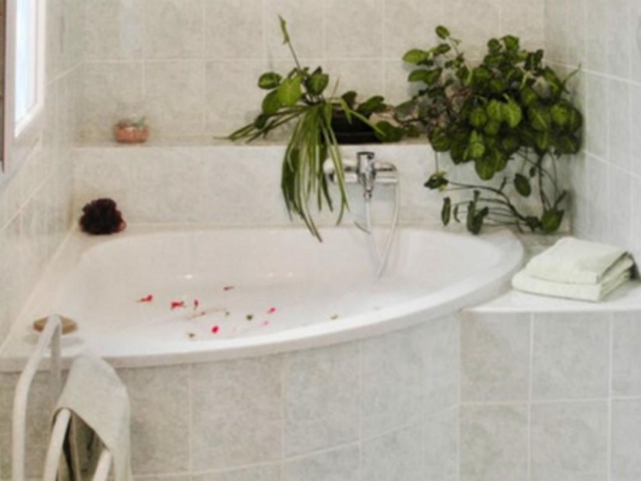 Mit Blick auf das Wasser-Binnen