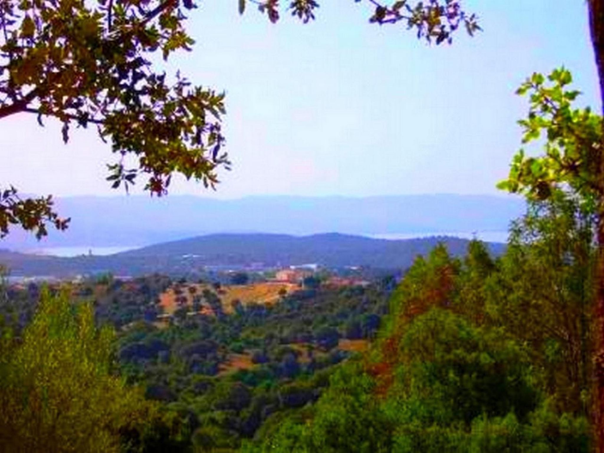Mit Blick auf das Wasser-Binnen