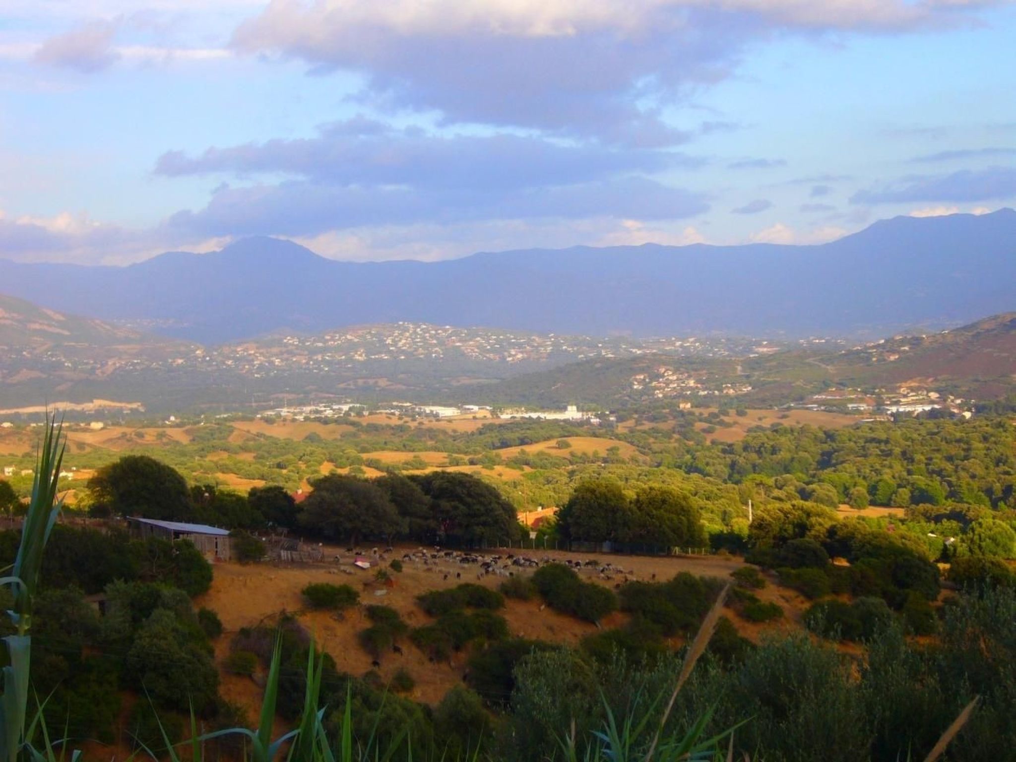Mit Blick auf das Wasser-Binnen