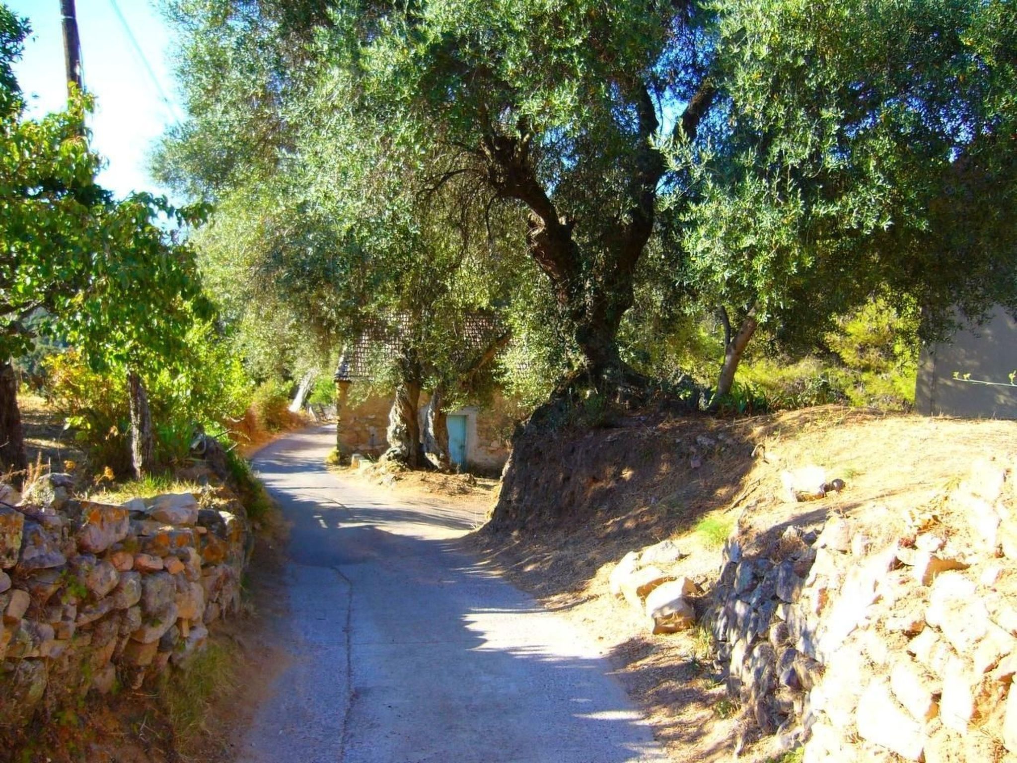 Mit Blick auf das Wasser-Binnen