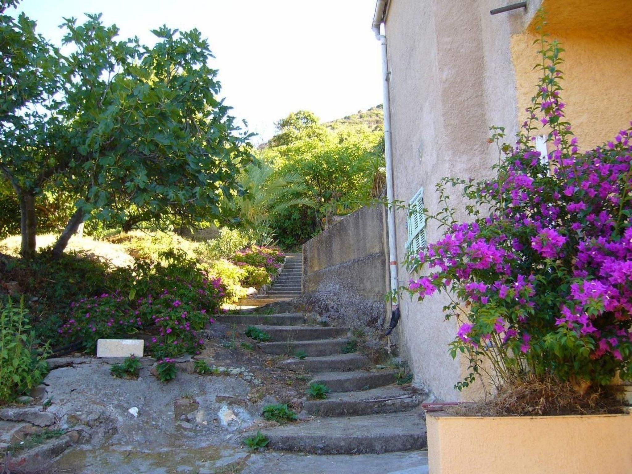 Mit Blick auf das Wasser-Binnen