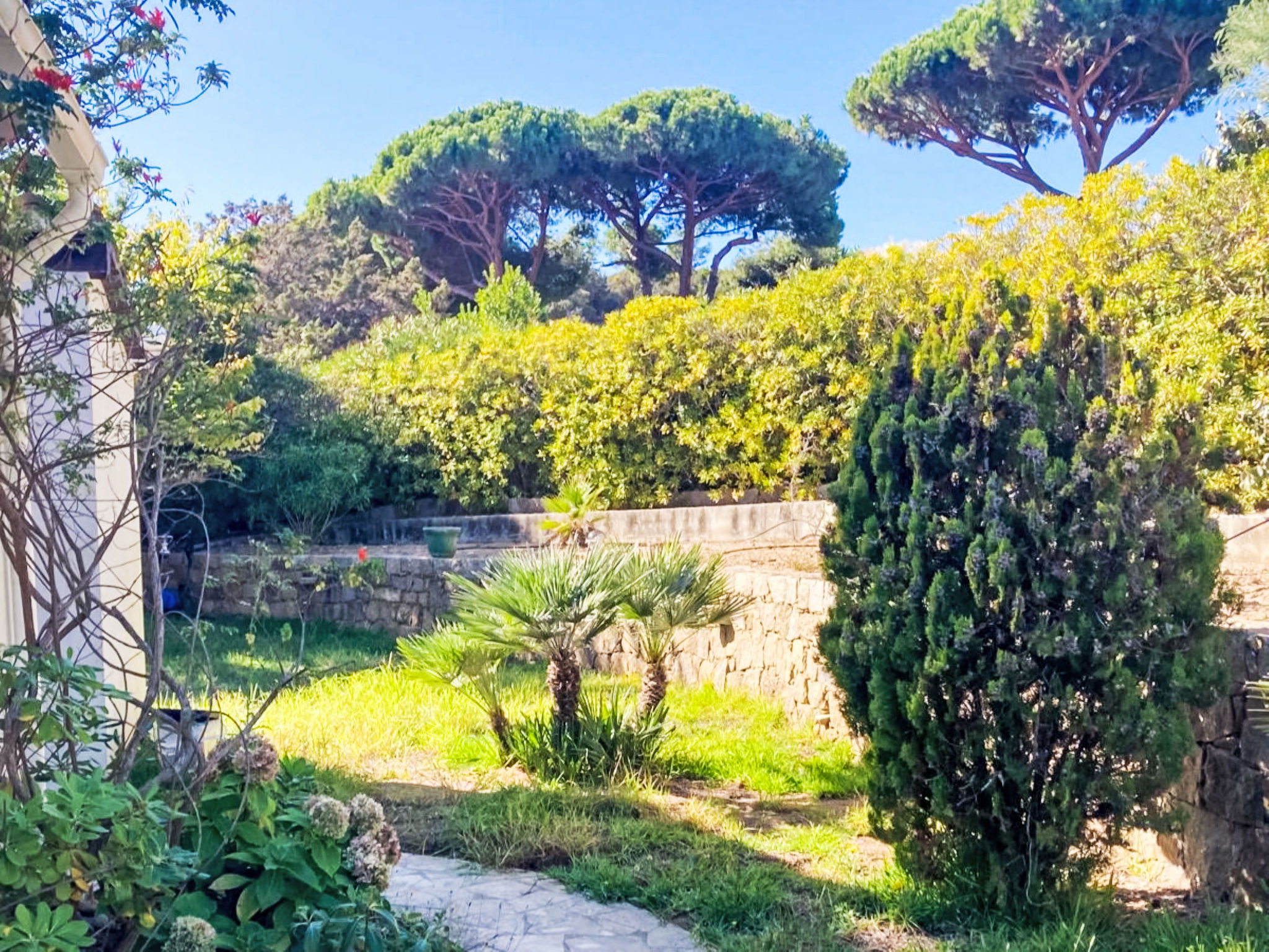 Bleu Isolella - Dehors