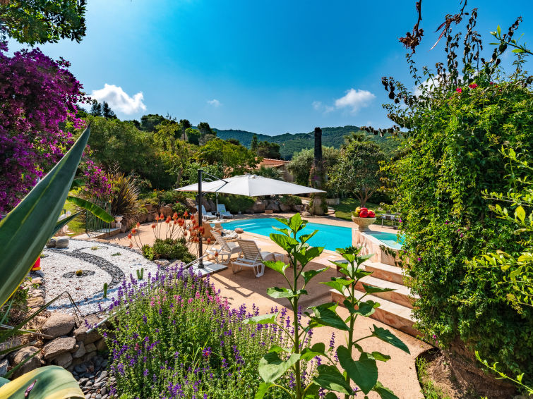 Search and Stay destination Coti-Chiavari, Corse - France from AU$ 194. Campestra