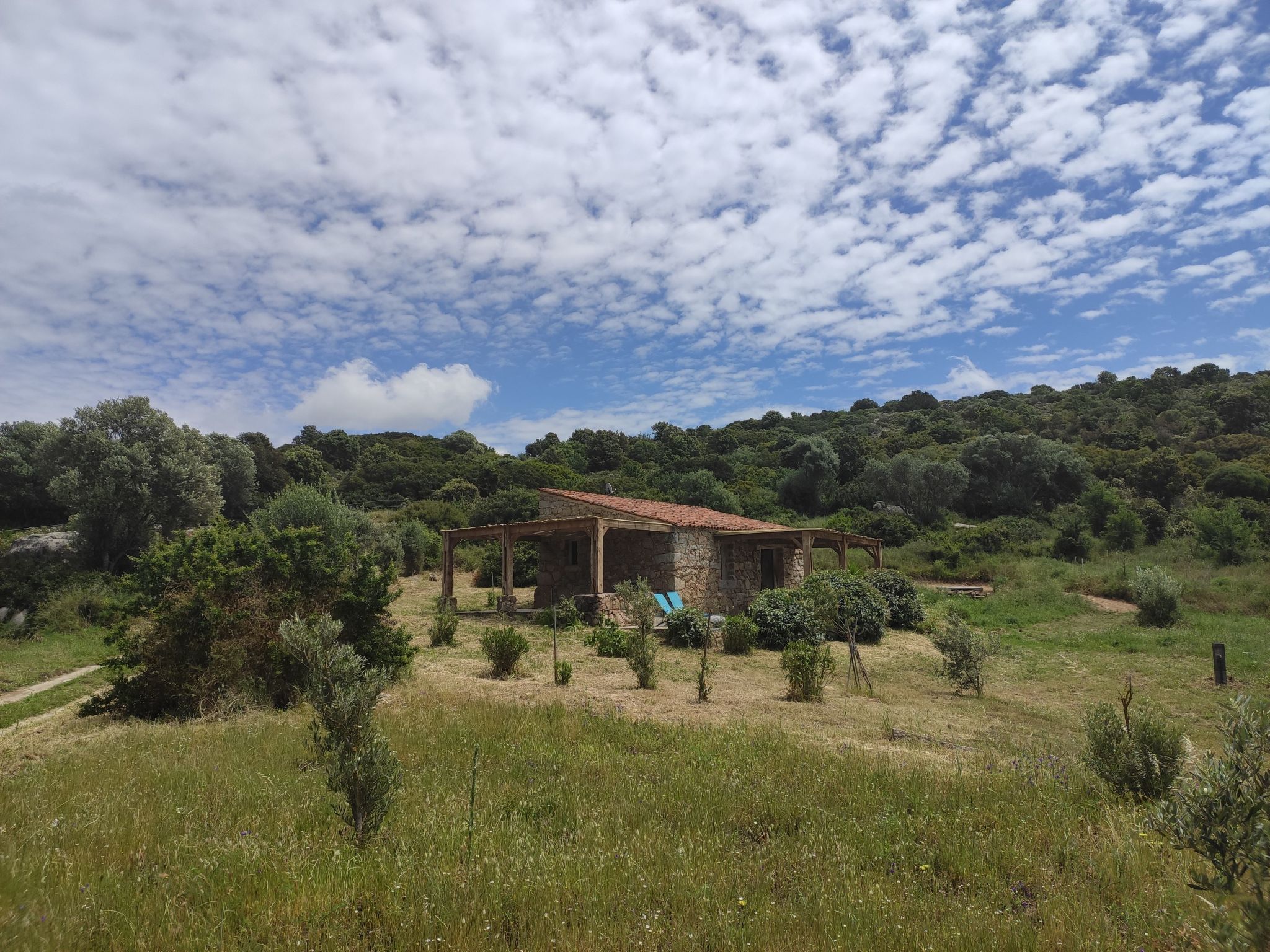 In idyllischer Lage im Süden Korsikas-Drinnen