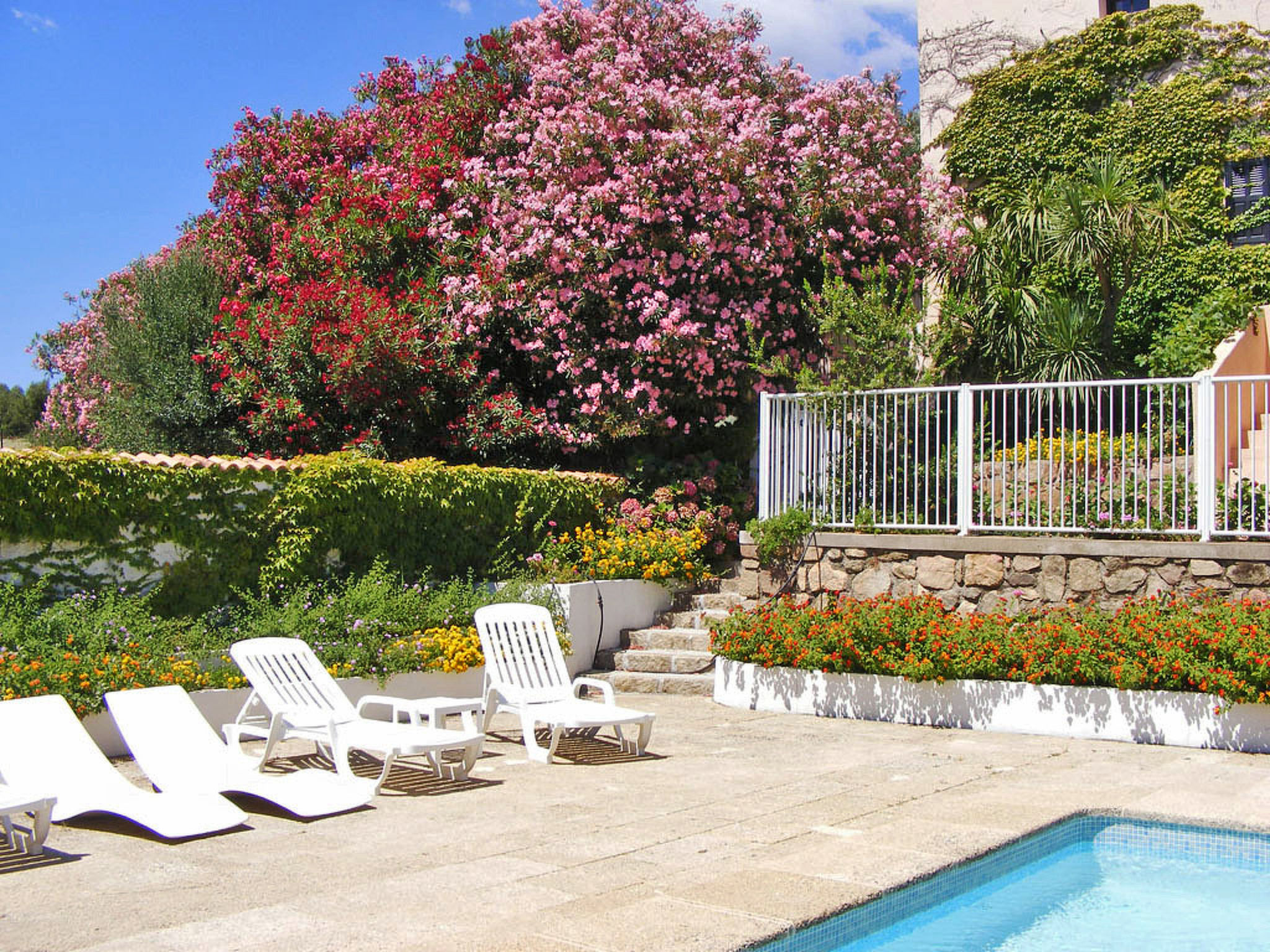 Photo of Marie Diane