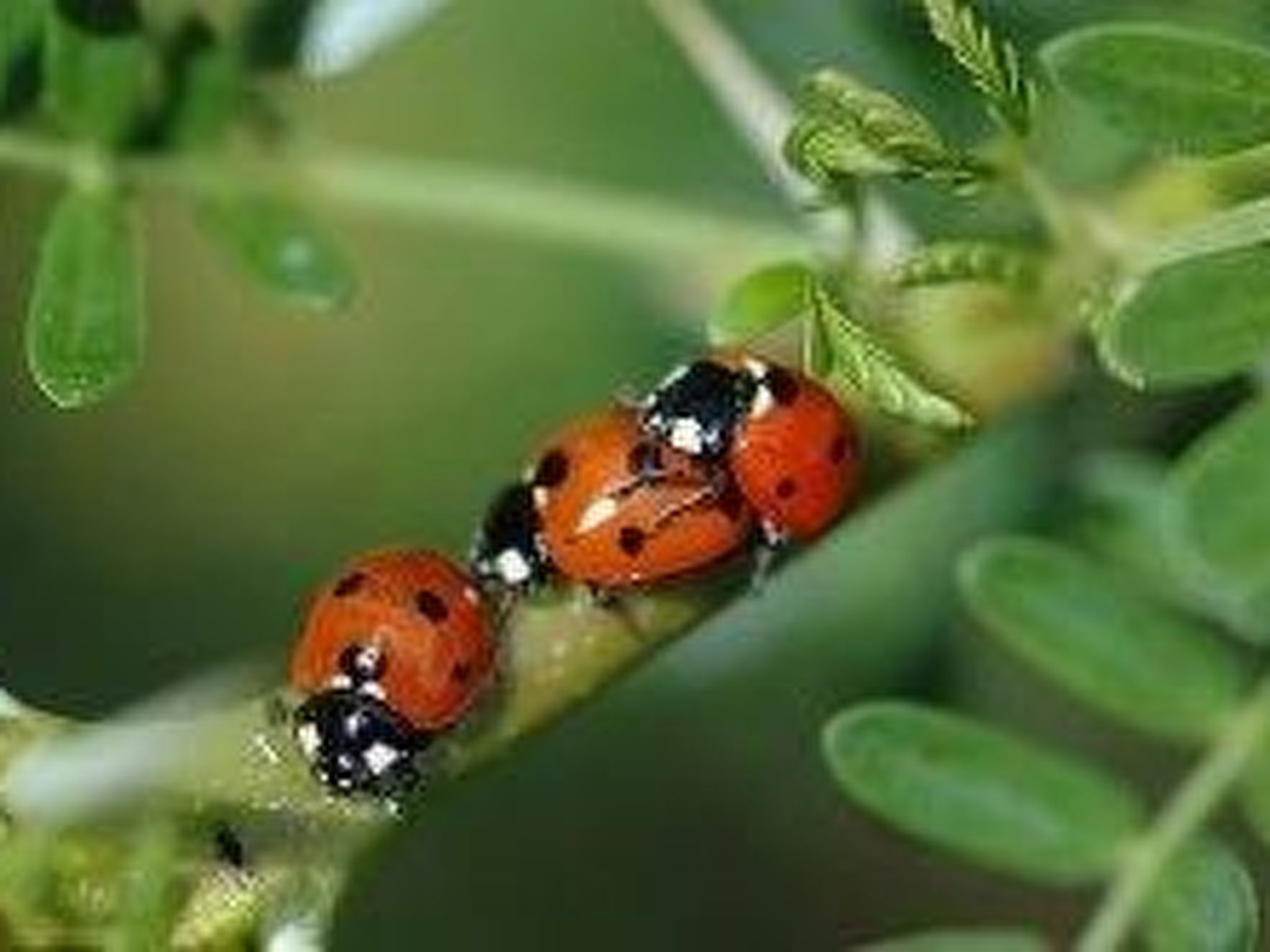 Wunderschönes Ferienhaus mit eigener Terrasse-Binnen