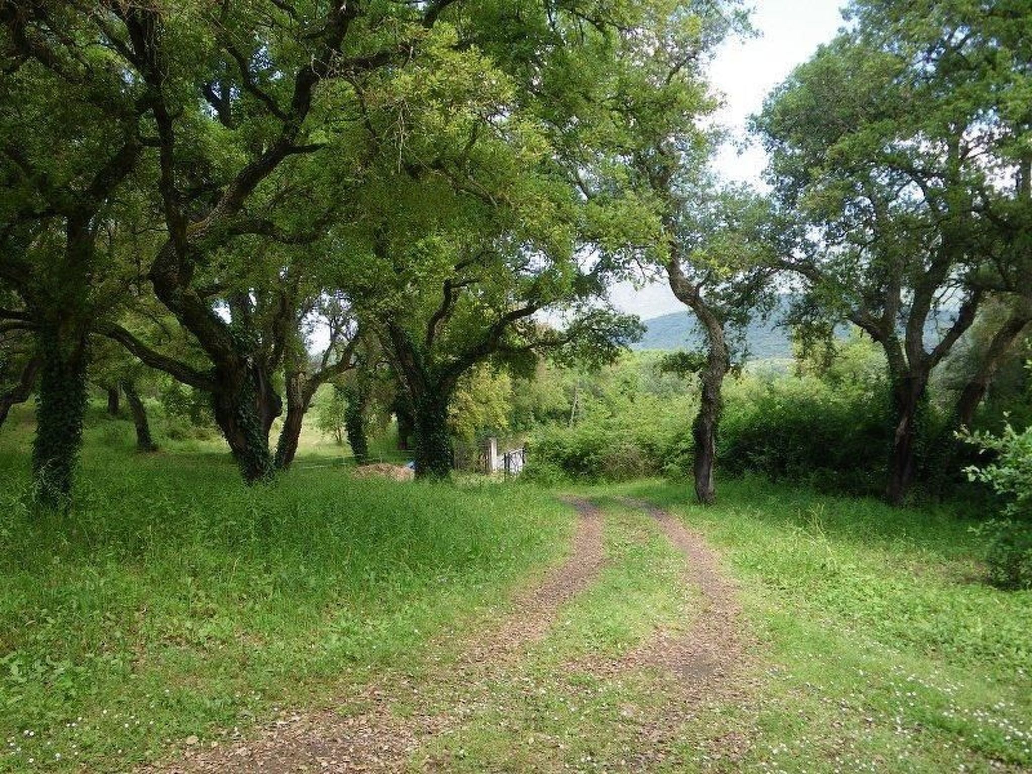 Wunderschönes Ferienhaus mit eigener Terrasse-Binnen