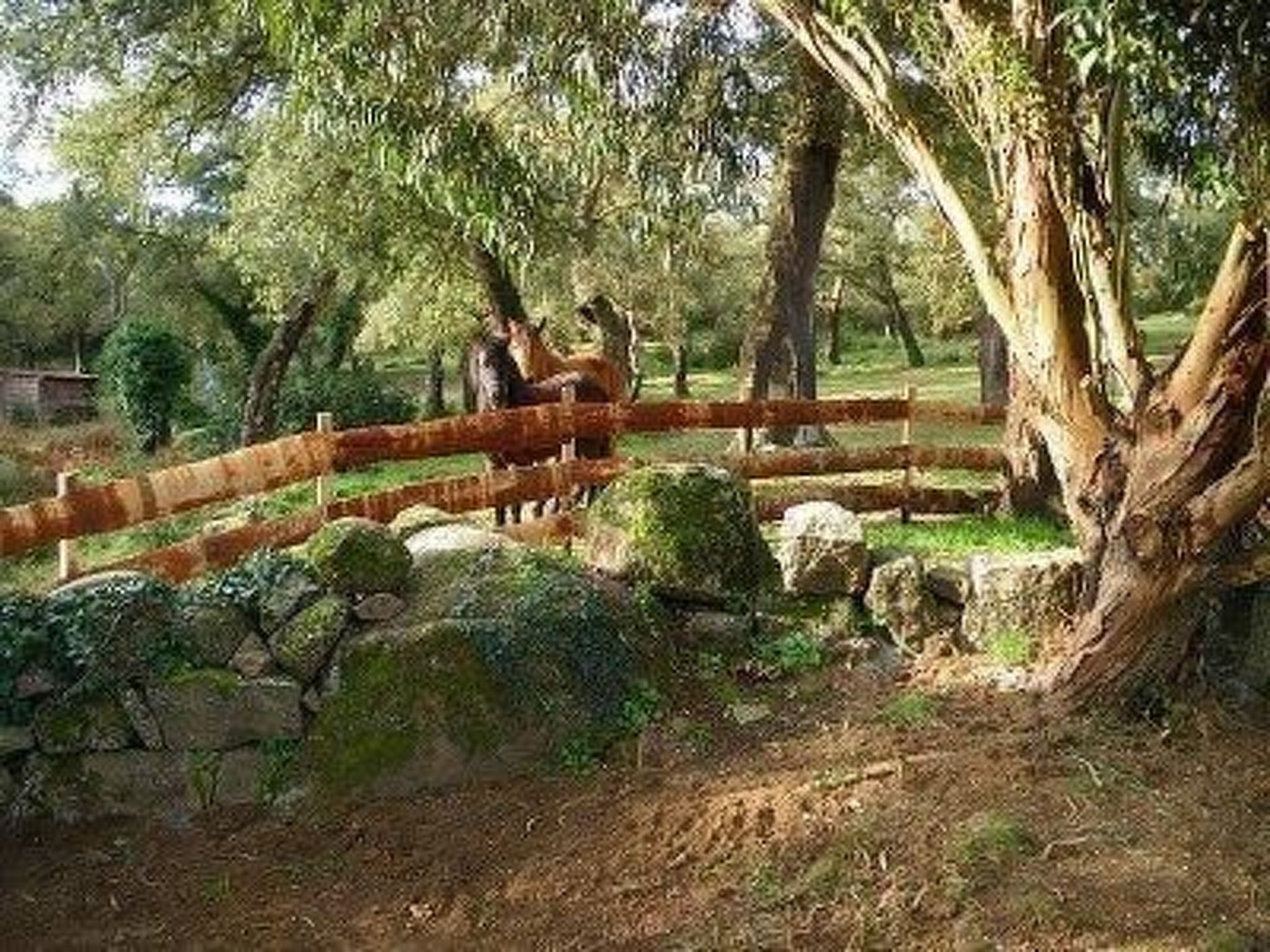 In Sartène mit Eigener Terrasse-Drinnen