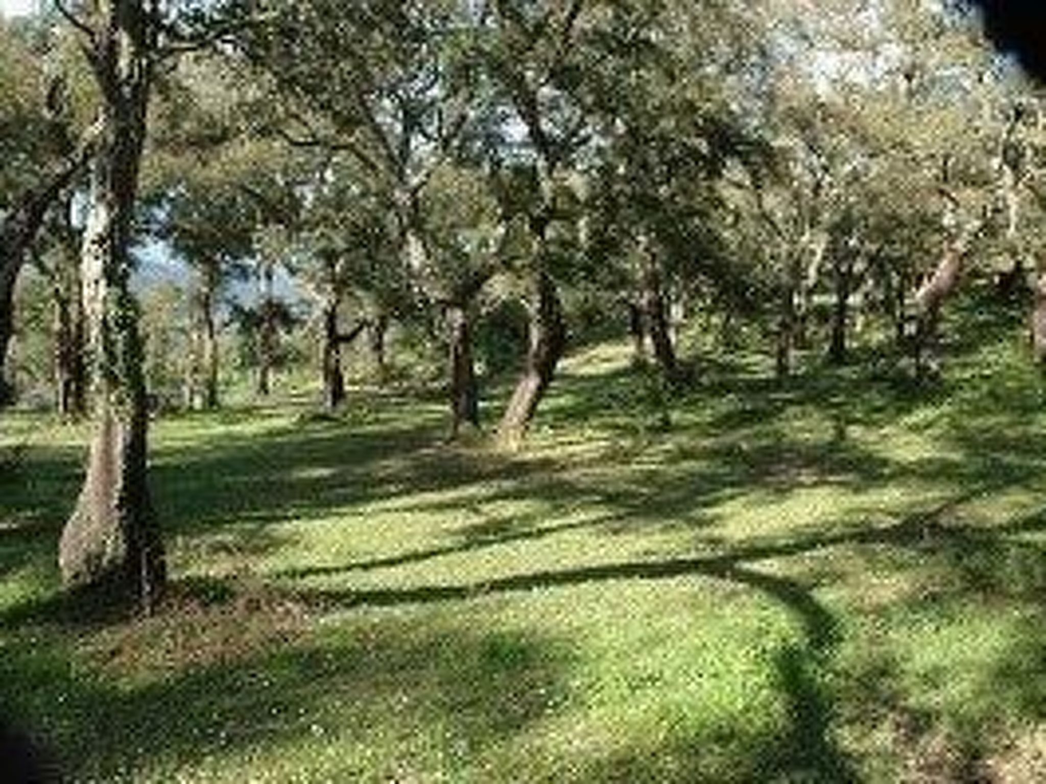 In Sartène mit Eigener Terrasse-Drinnen