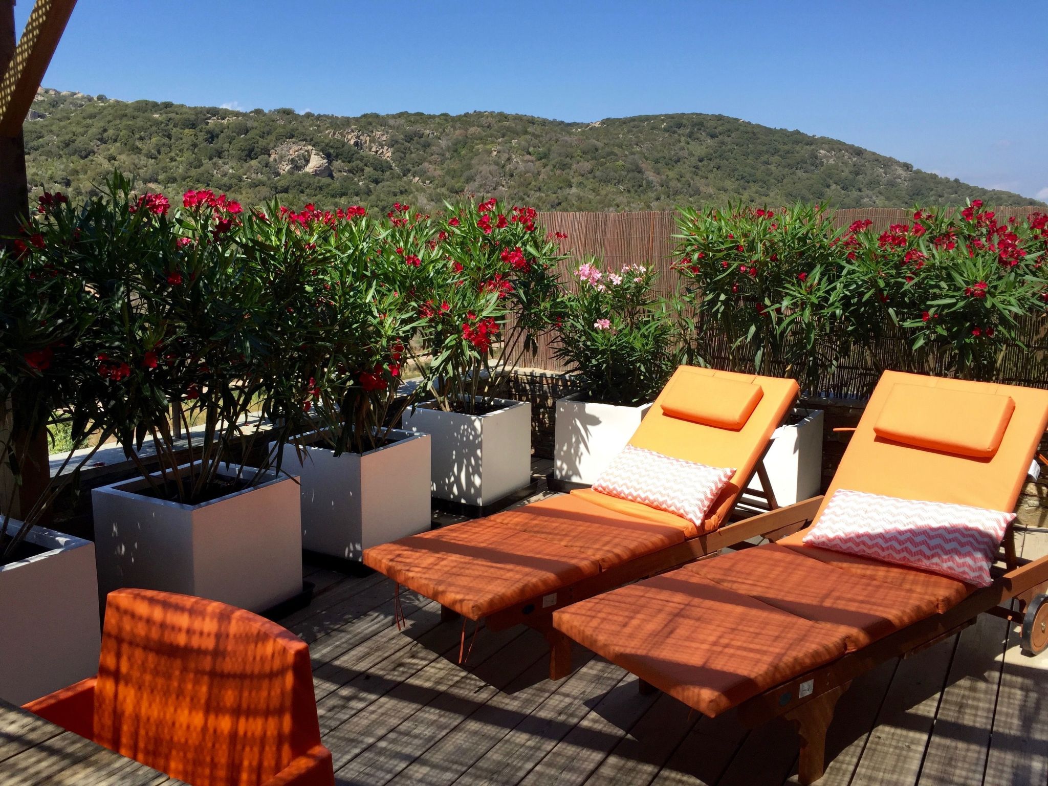 In Bonifacio mit Großer Terrasse-Image-tags.info