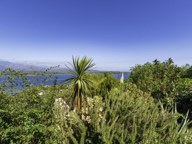 Photo of Verde