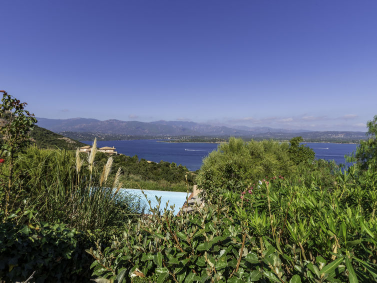 Photo of Verde