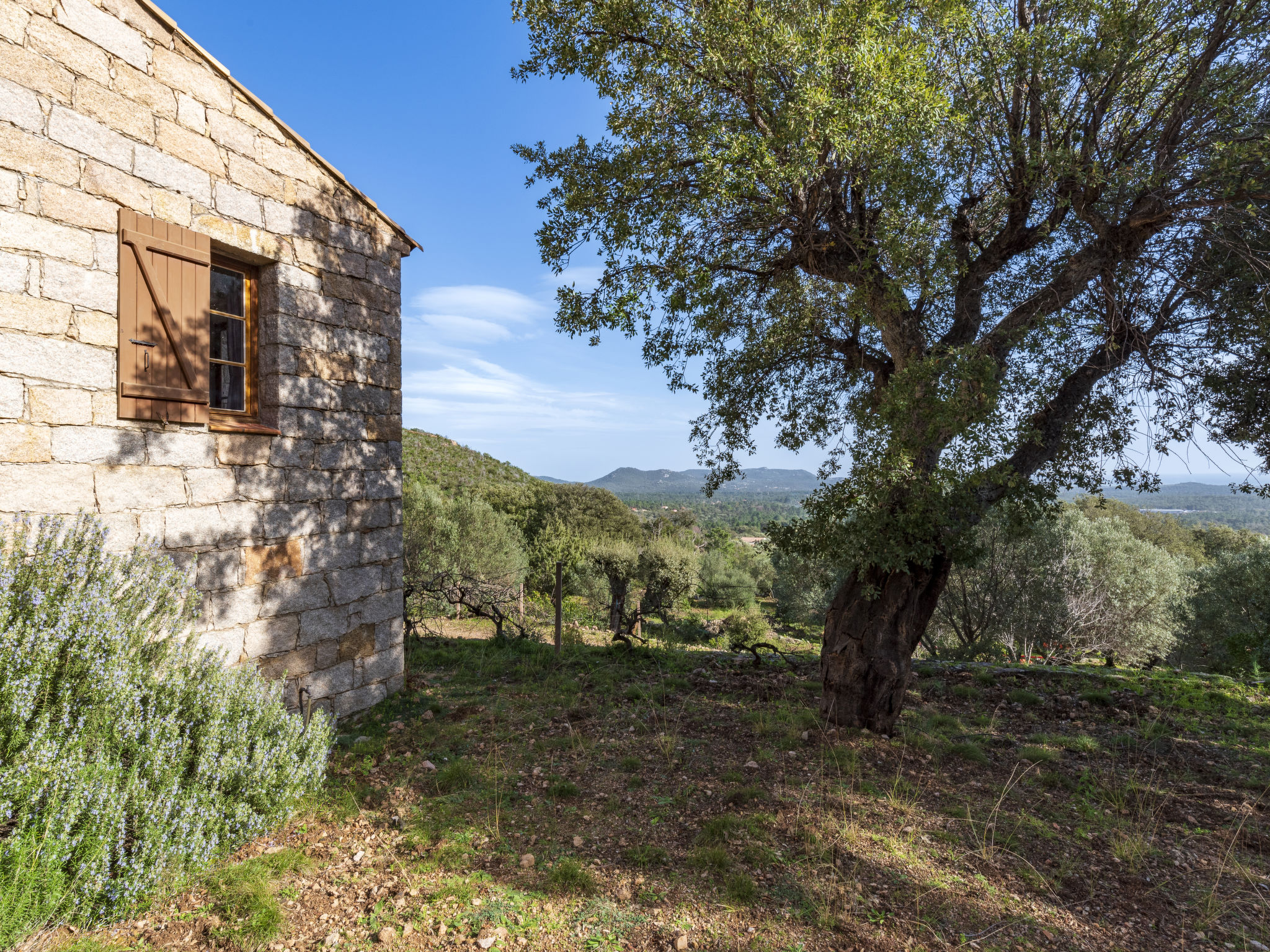 Photo of Casa Gialla