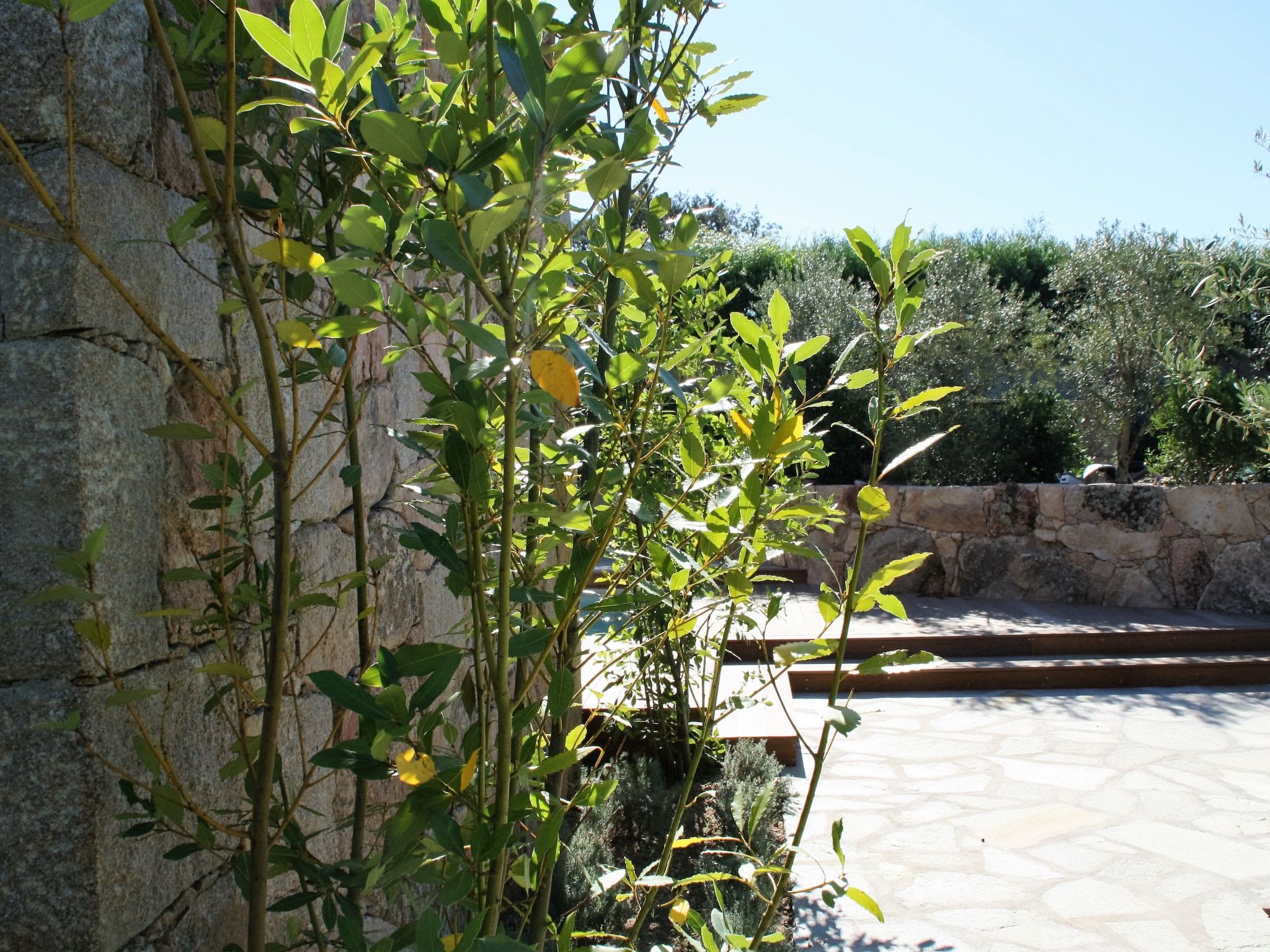 Luxuriöse Schäferei 2km vom Strand von Santa Giulia entfernt-Drinnen