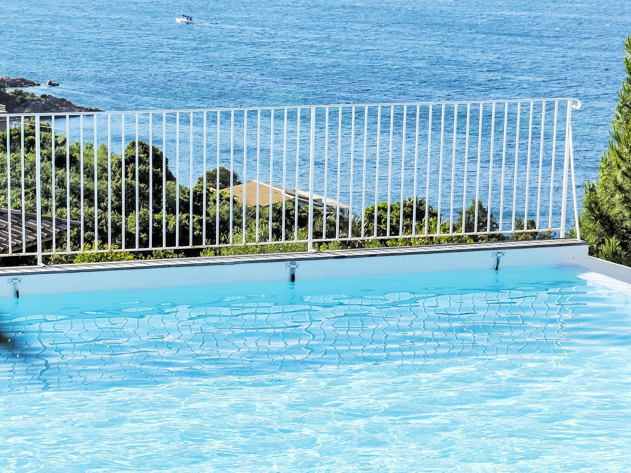 Photo of Anna Maria - Anto