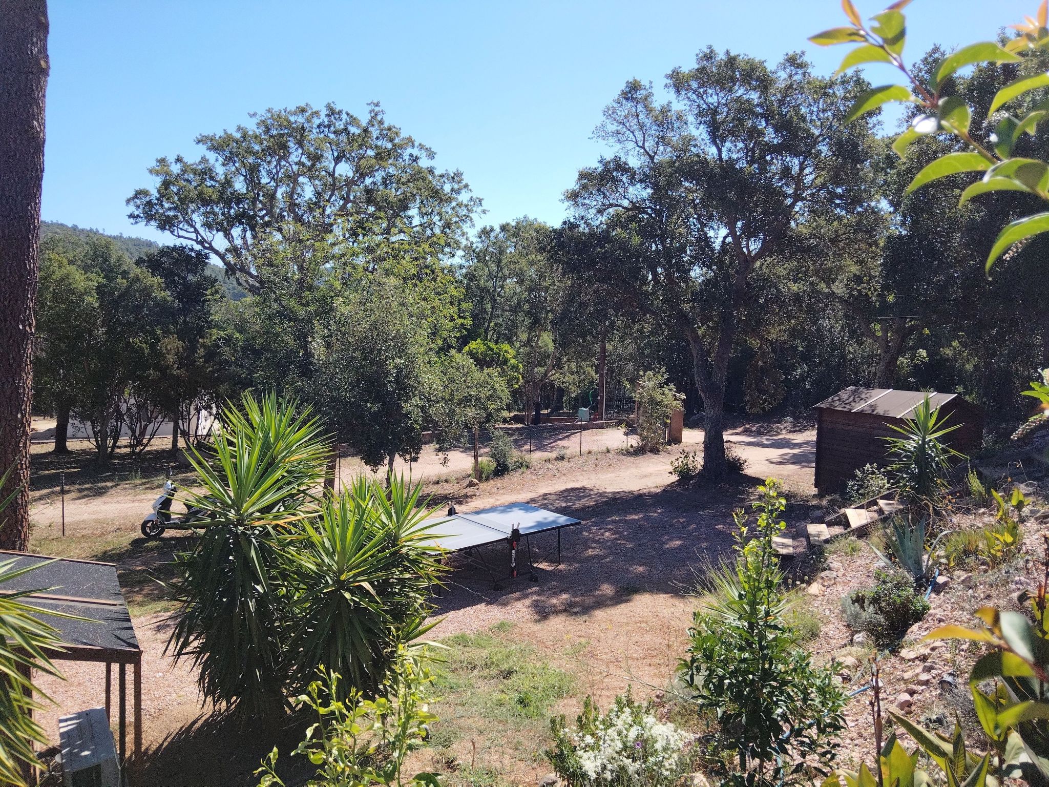 Ferienwohnungen Albareddu Punta Ortu-Image-tags.info