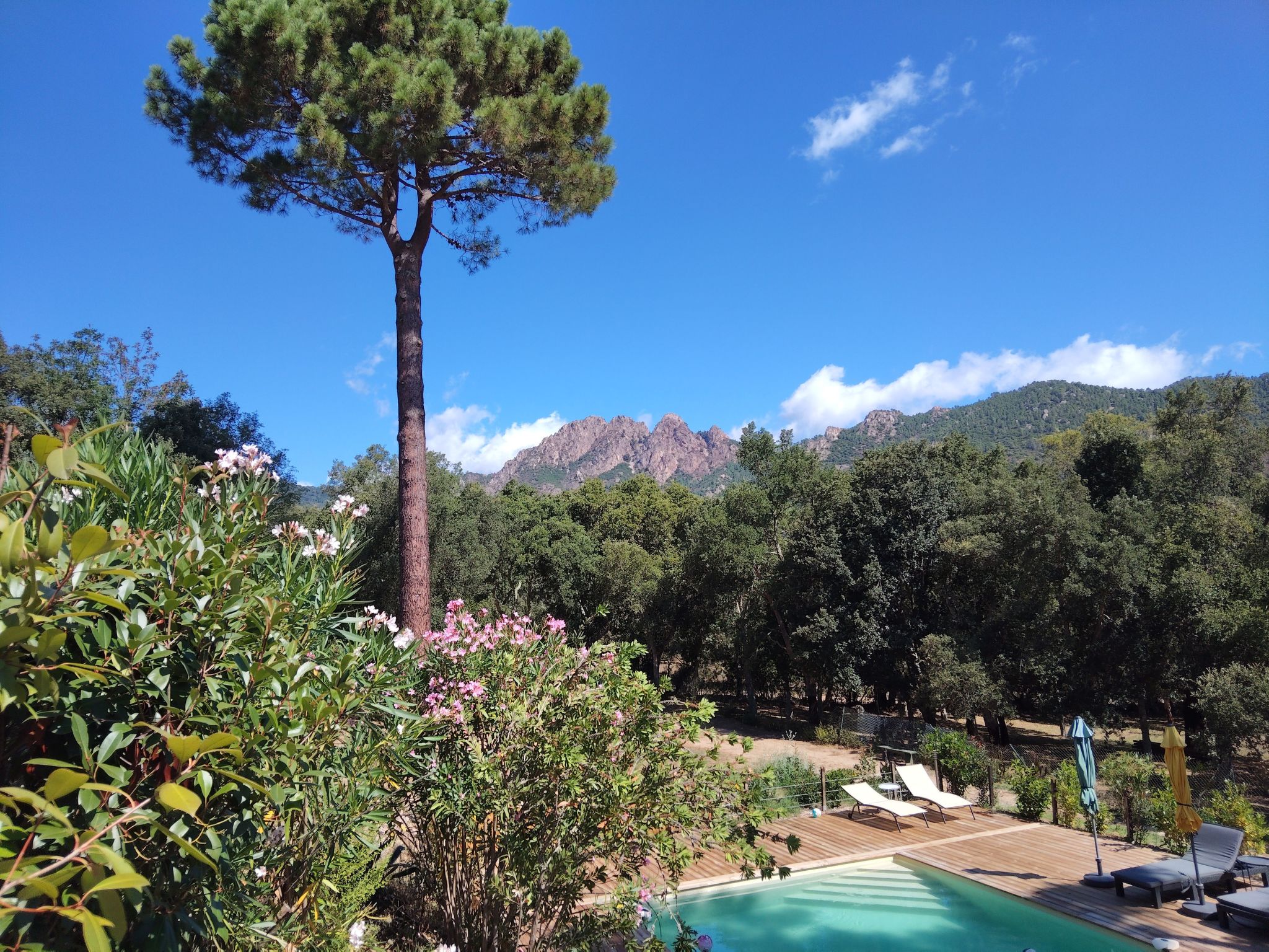 Ferienwohnungen Albareddu Punta Ortu-Image-tags.info