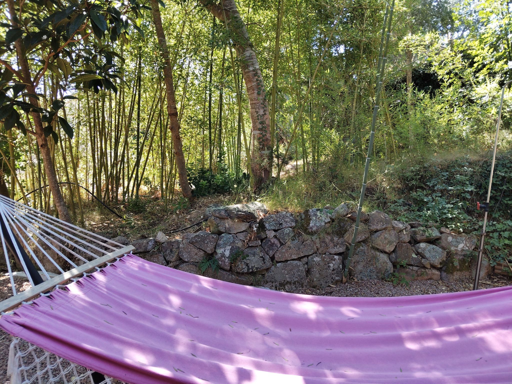 Gites Albareddu-Outside