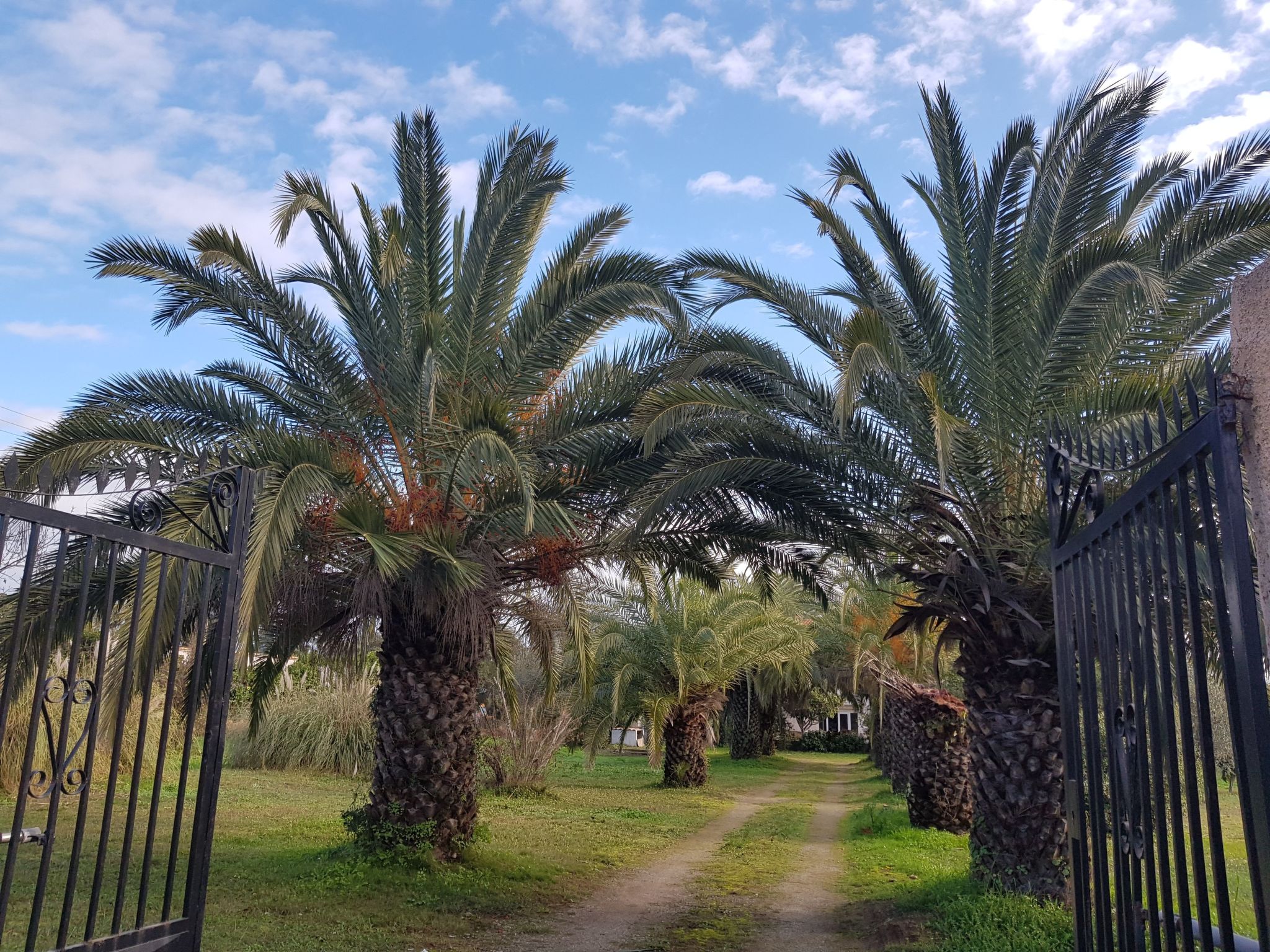 Ovu Wohnung mit beheiztem Pool und privatem Garten, 1 Minute vom Meer entfernt-Image-tags.info