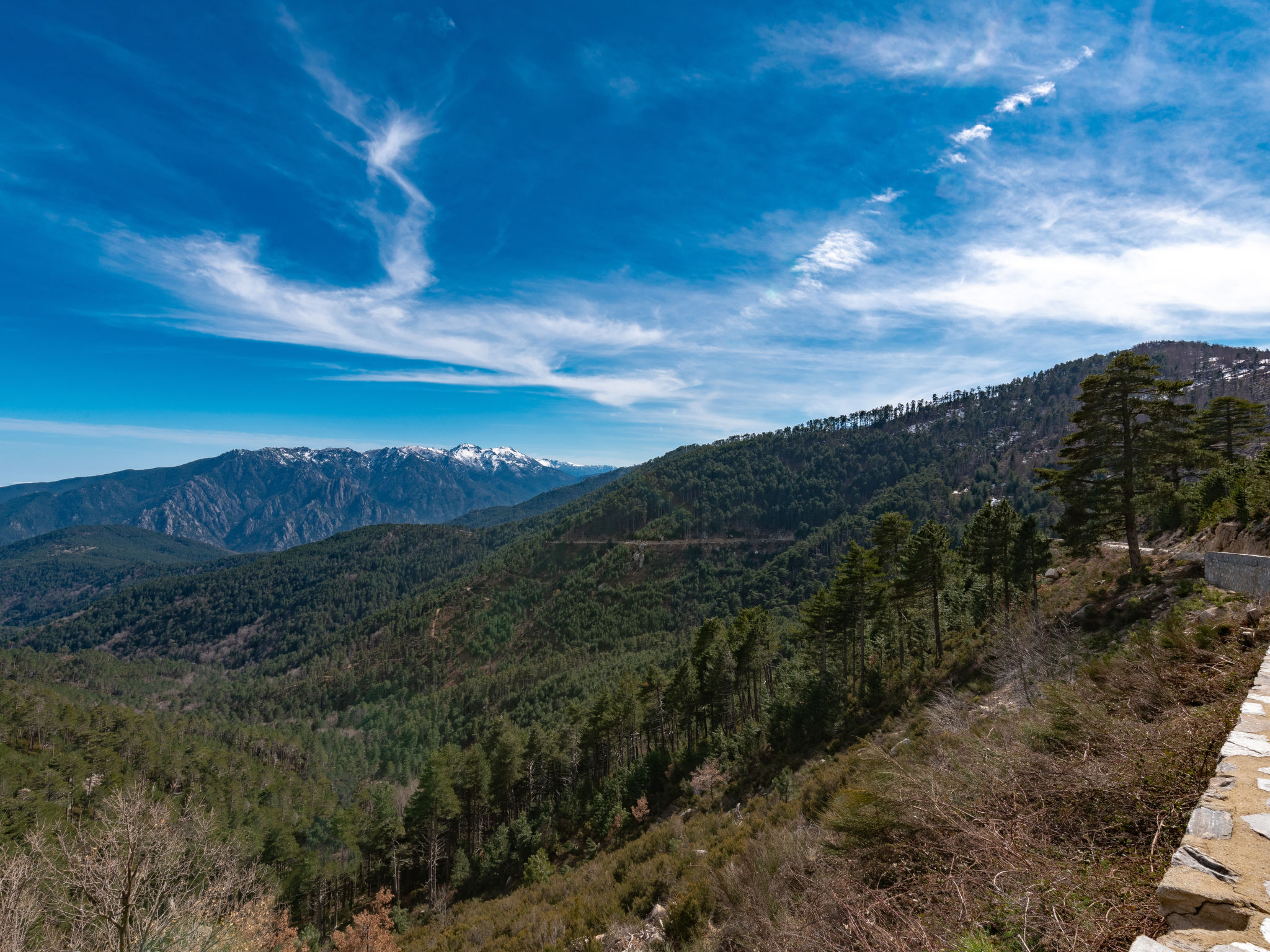 Photo of Migone de Sampolo