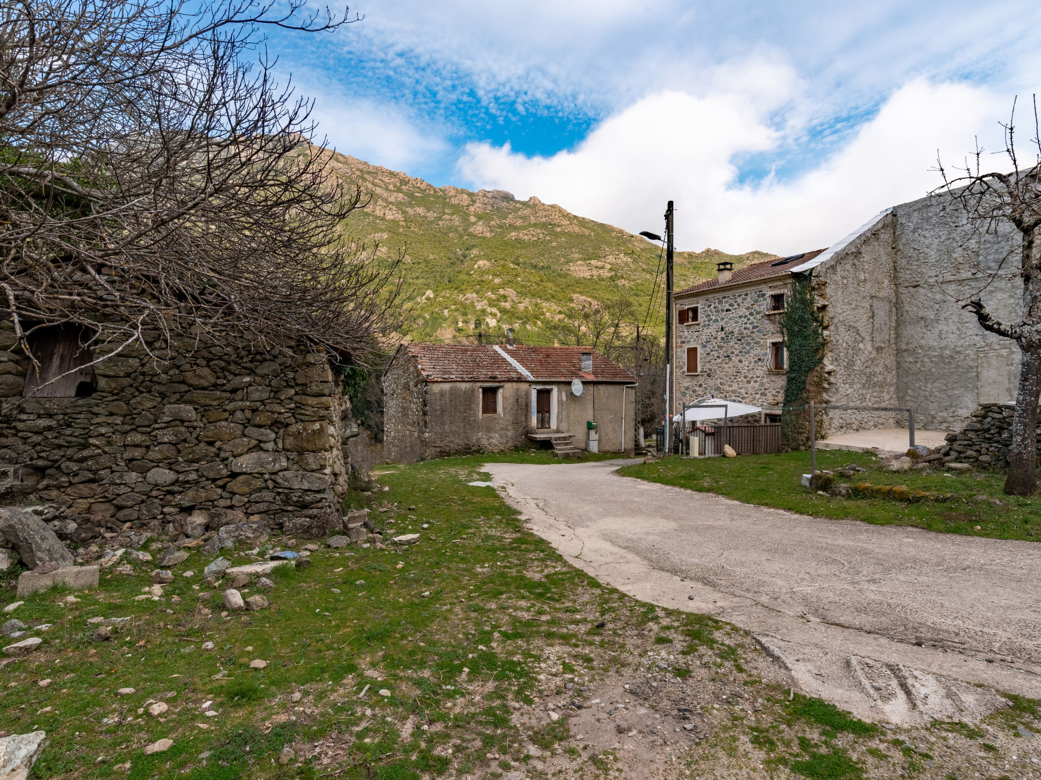 Photo of Migone de Sampolo