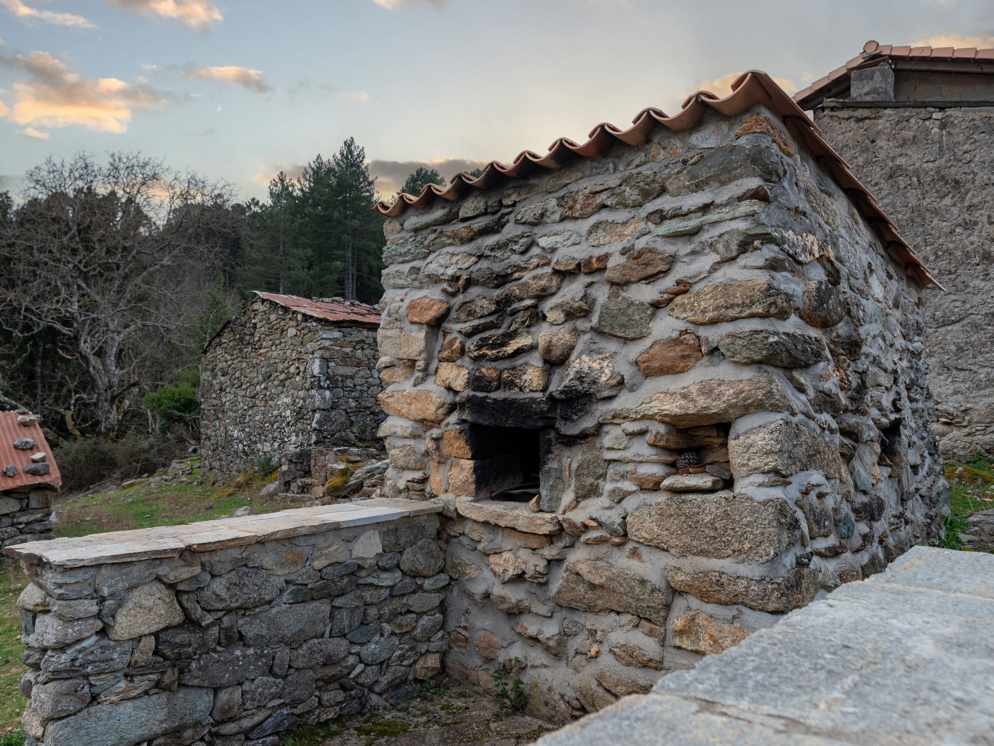 Photo of Migone de Sampolo