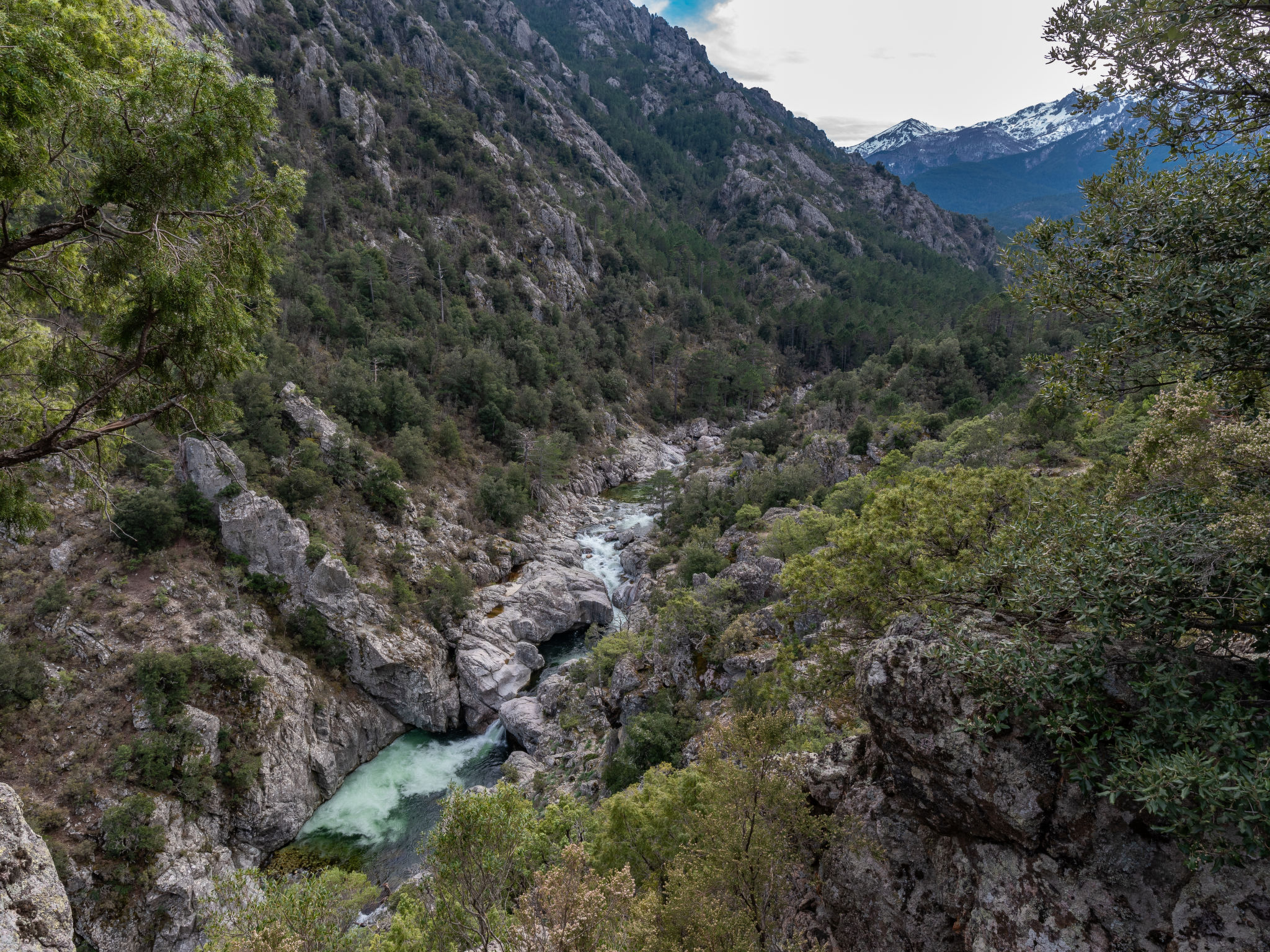 Photo of Migone de Sampolo