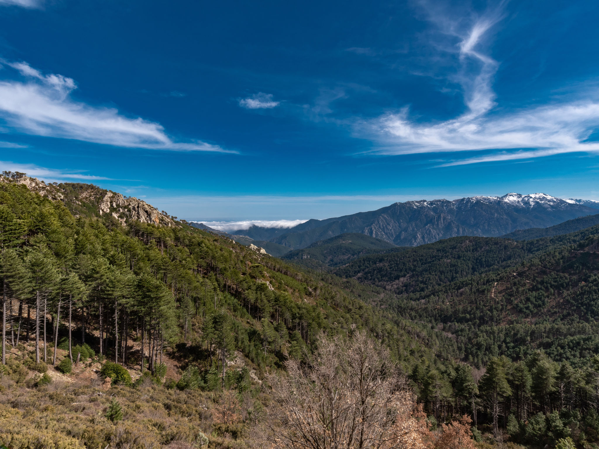 Photo of Migone de Sampolo