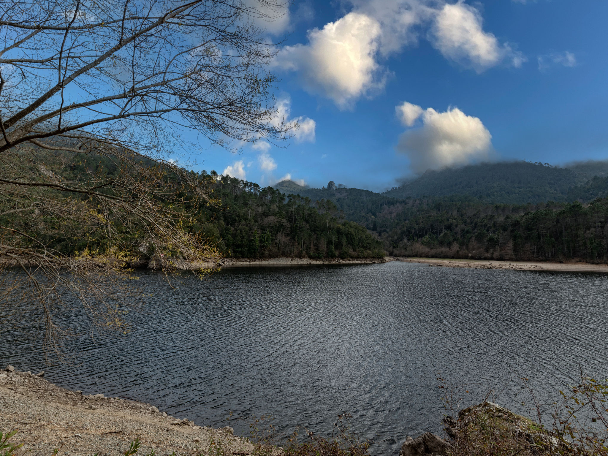 Photo of Migone de Sampolo