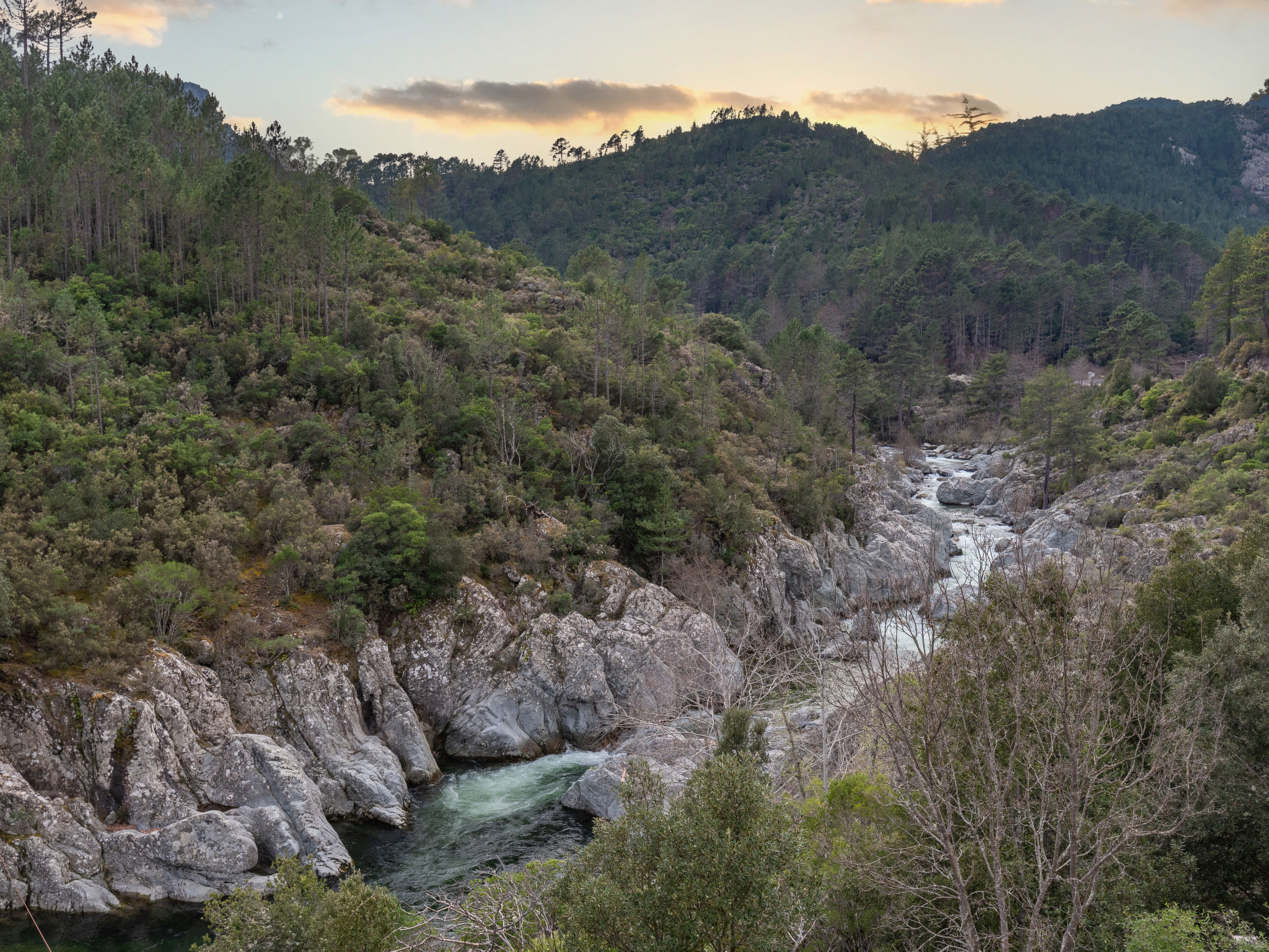 Photo of Migone de Sampolo