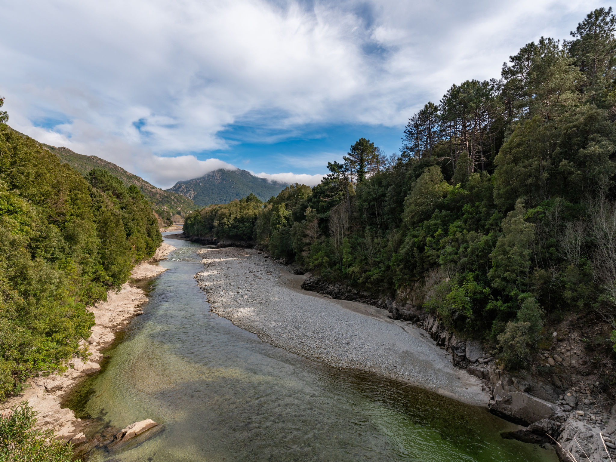 Photo of Migone de Sampolo