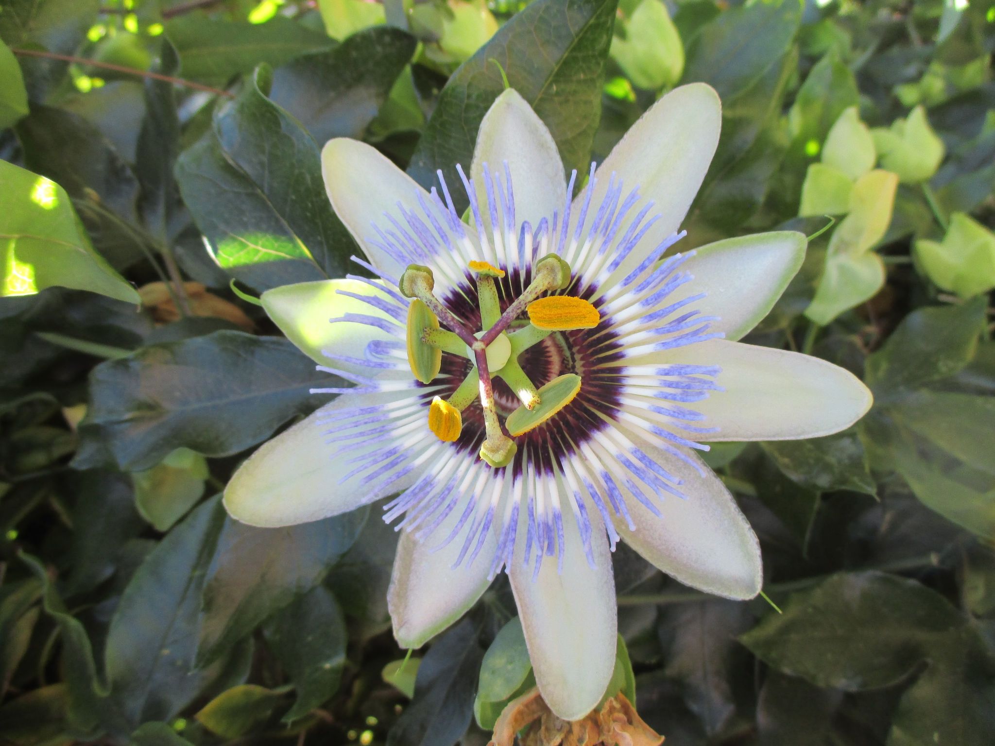 Sole e Ventu 70qm-Inside