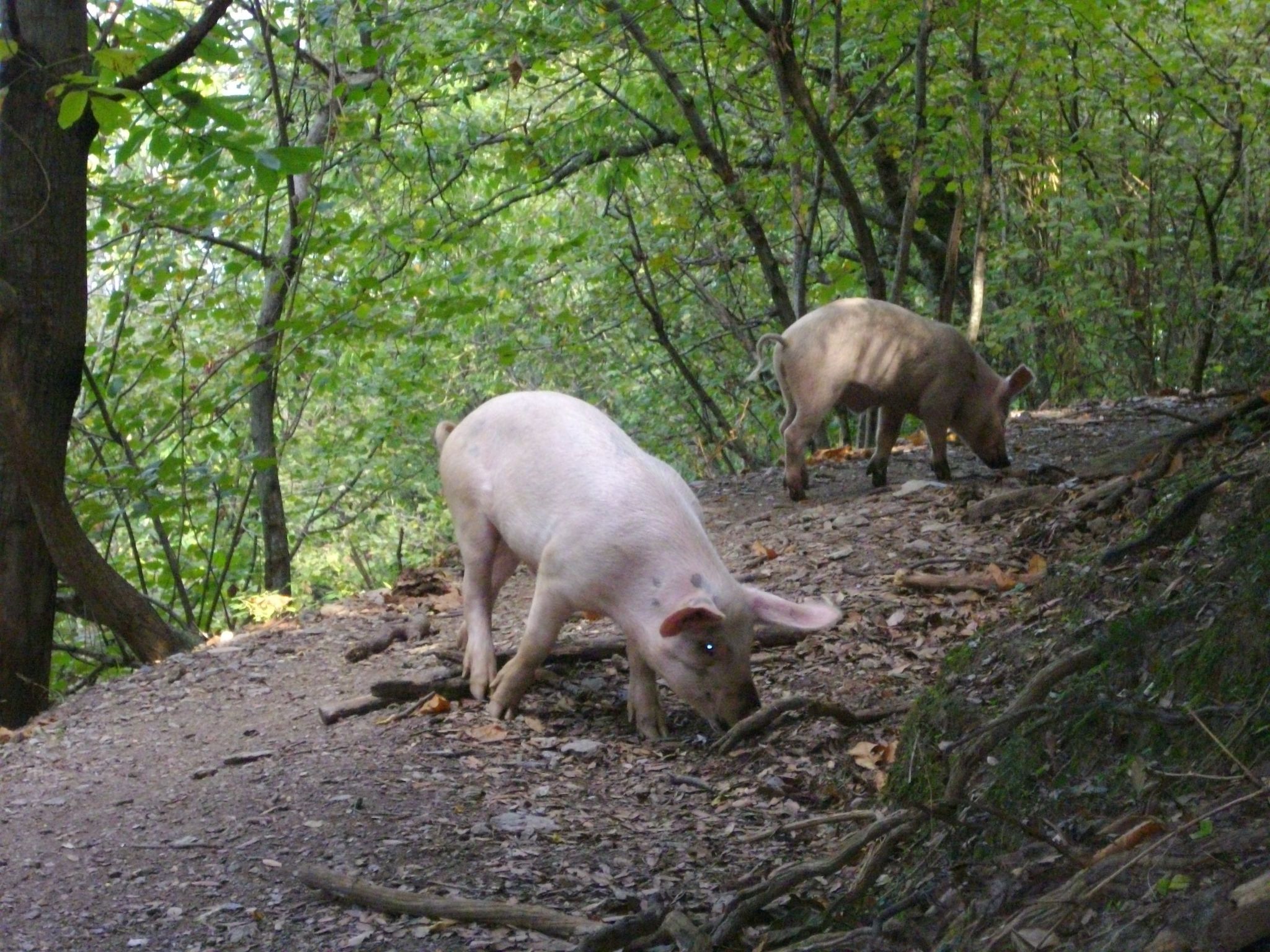 Sole e Ventu 70qm-Inside