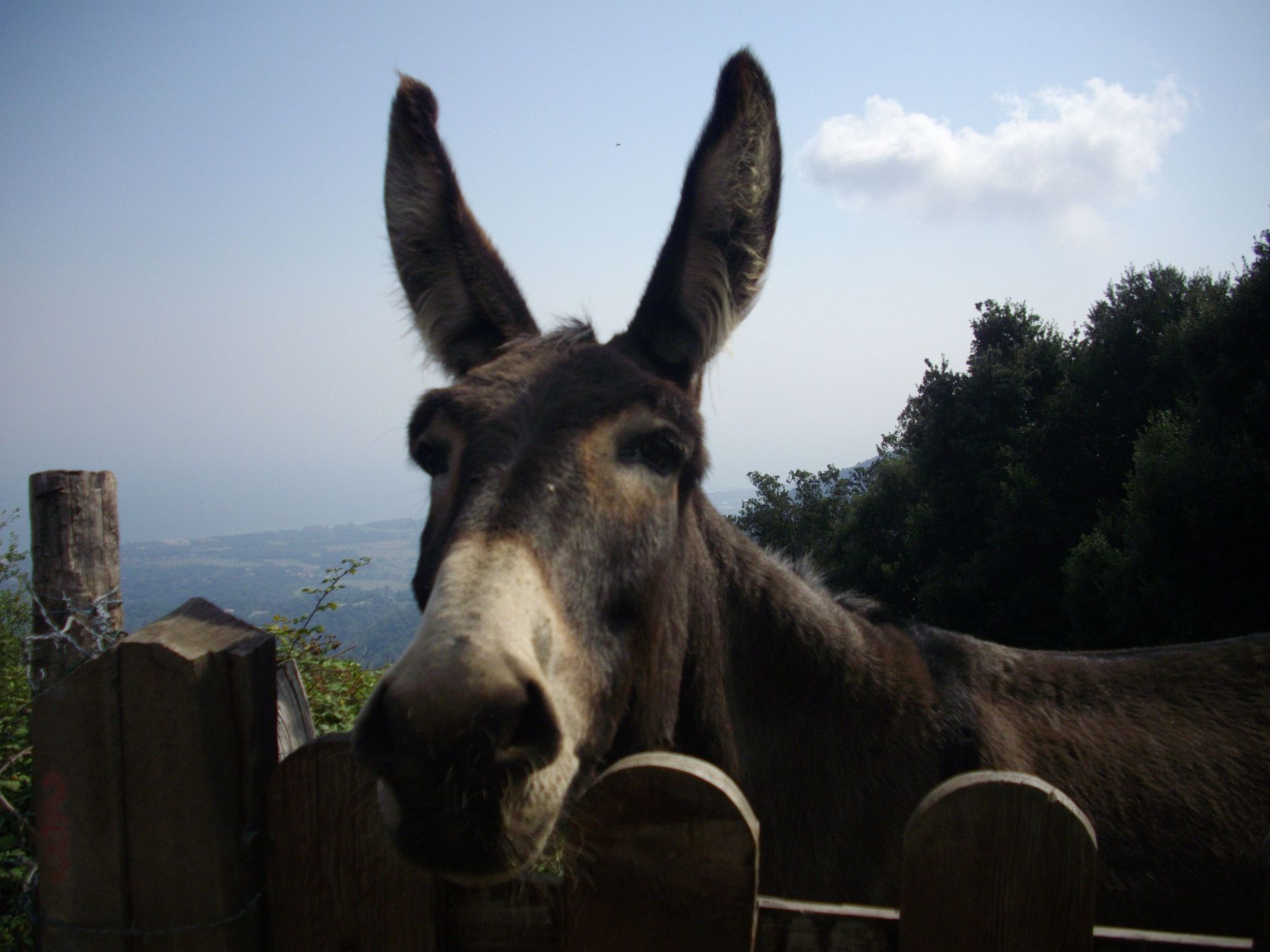 Sole e Ventu 70qm-Inside