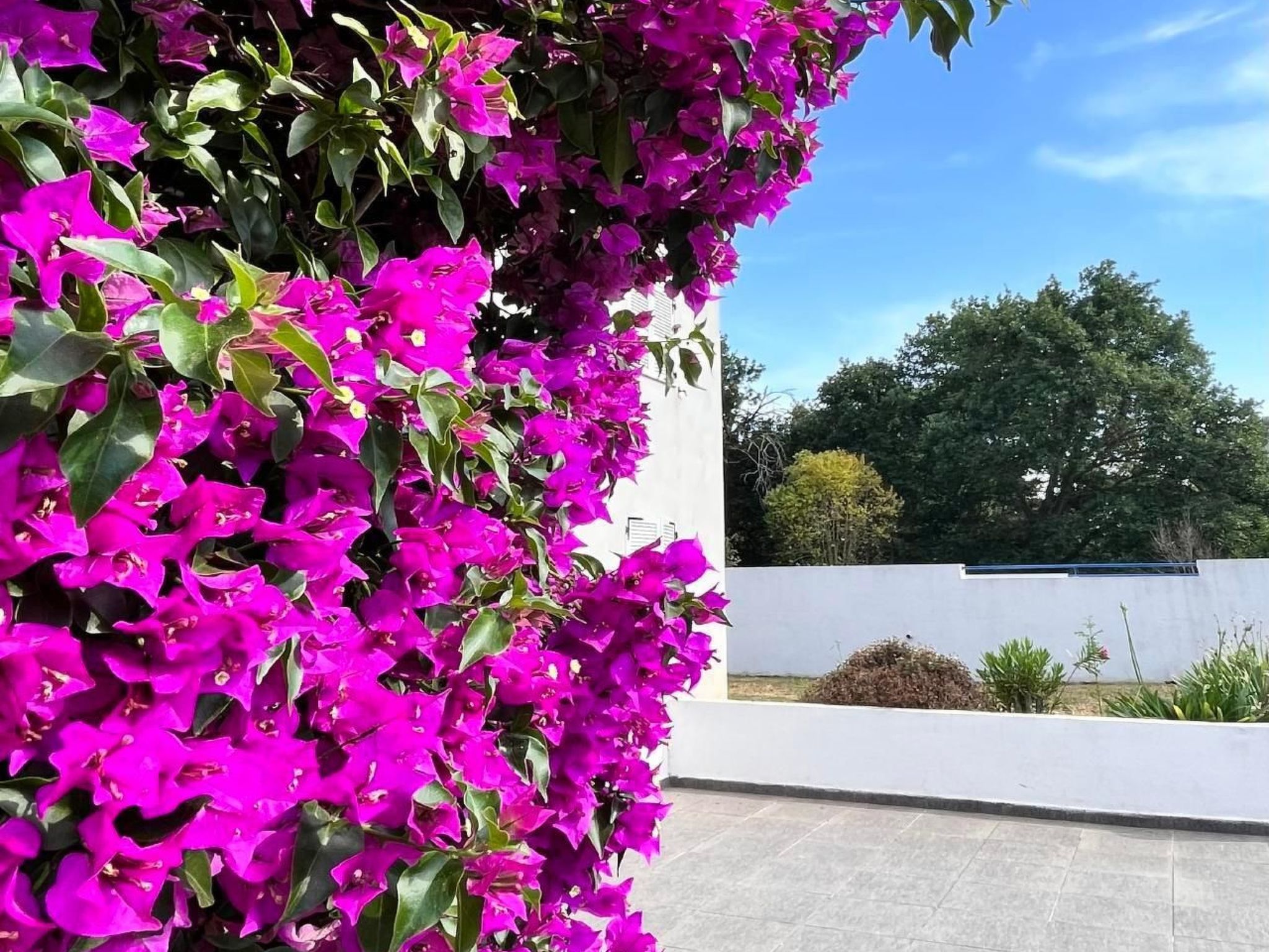 Résidence Amanda-Binnen