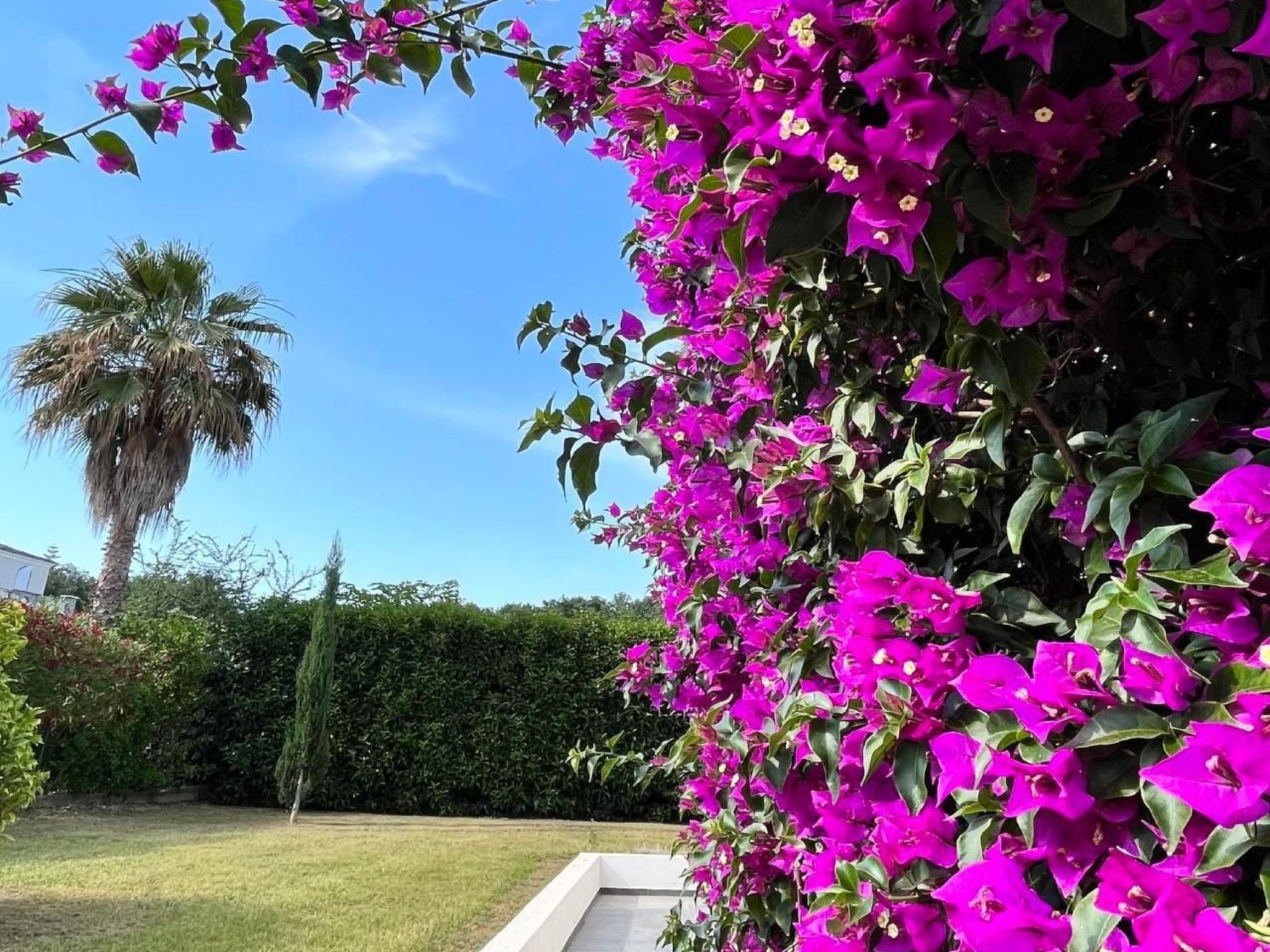 Résidence Amanda-Binnen