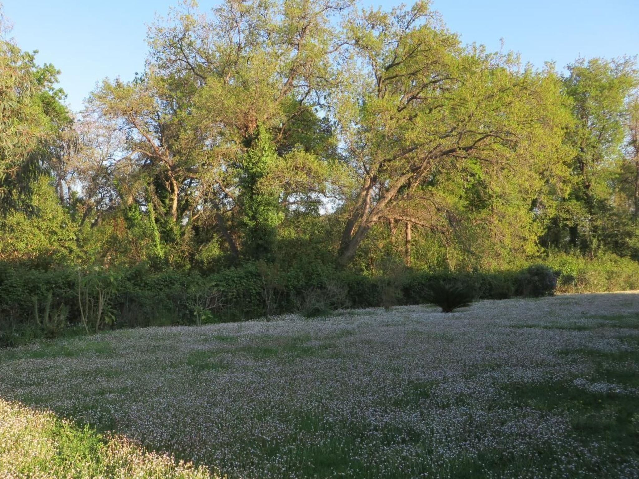Résidence Amanda-Binnen