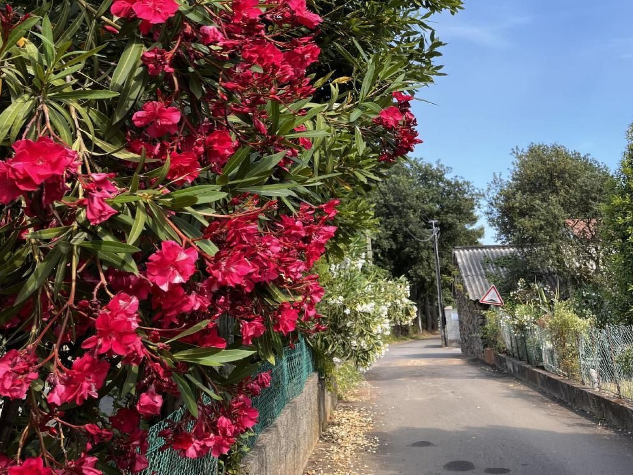 Résidence Amanda-Binnen