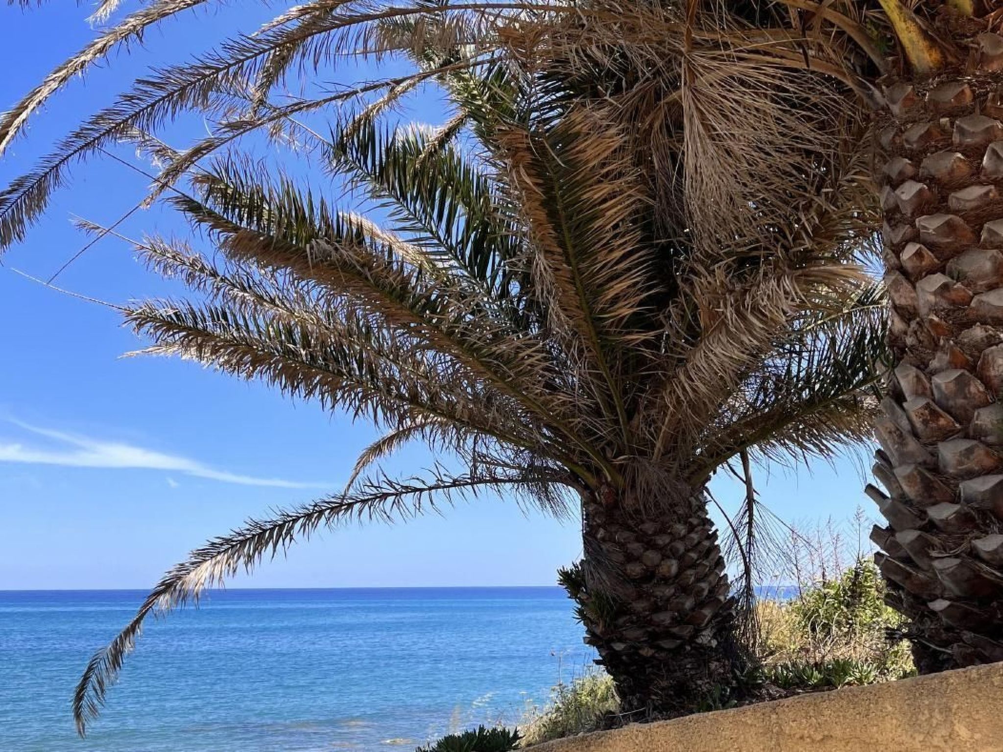 Résidence Amanda-Binnen