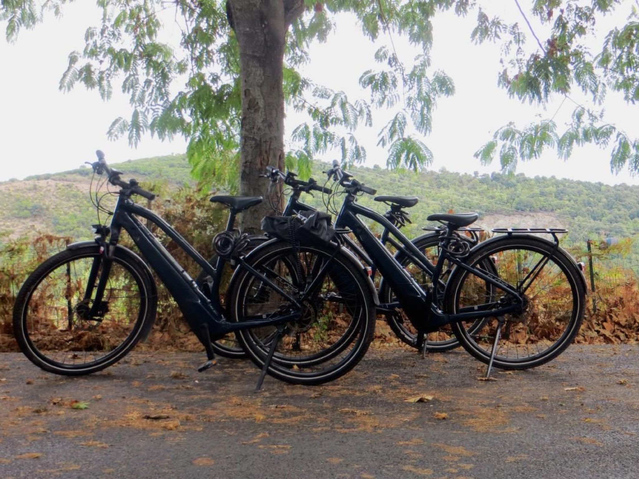 Résidence Amanda-Binnen