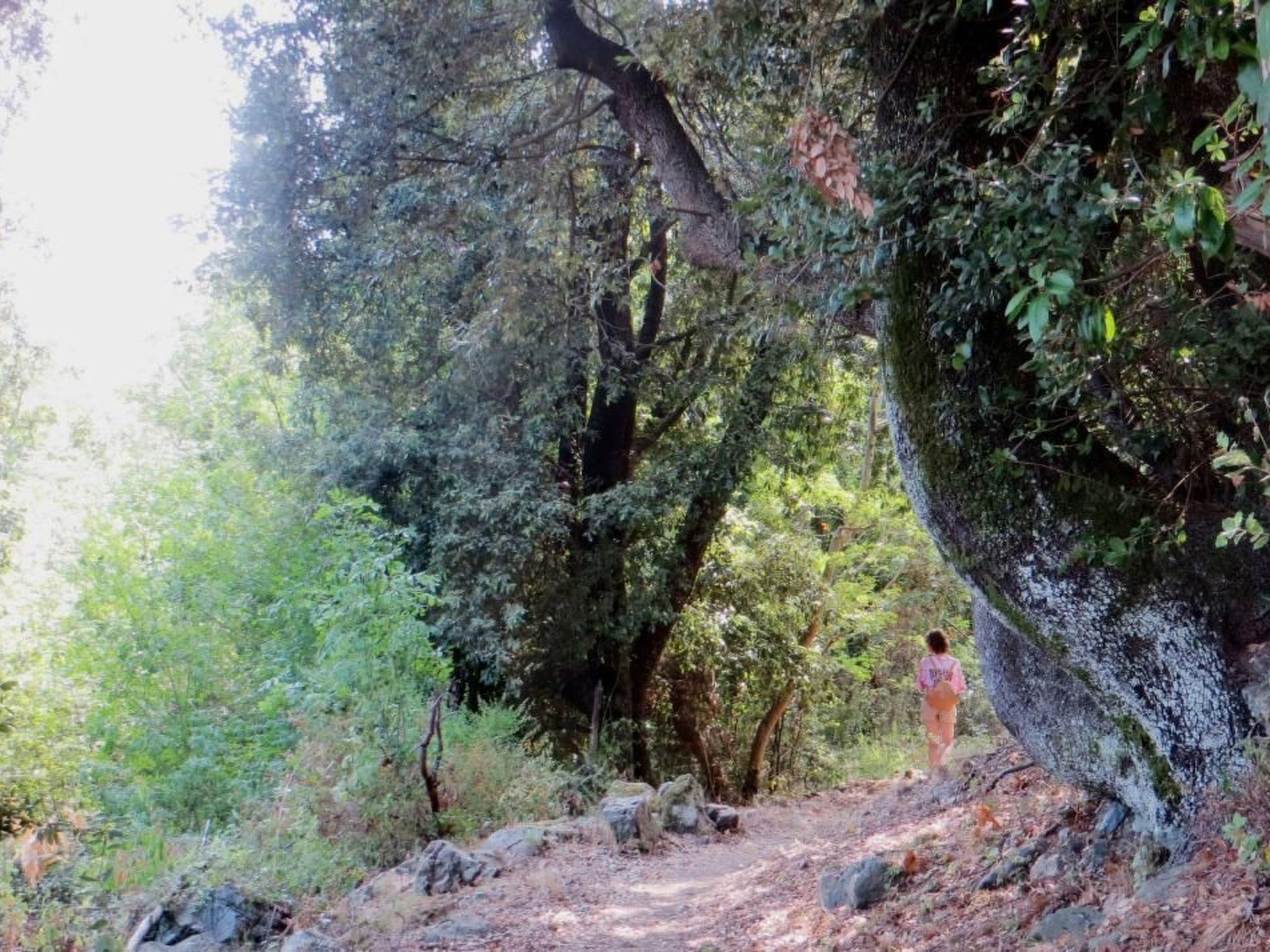 Résidence Amanda-Binnen