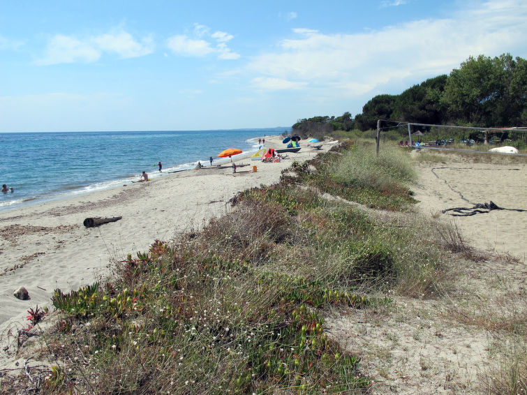 Photo of Rico Plage (SNF140)