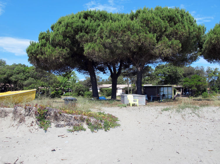 Photo of Rico Plage (SNF141)