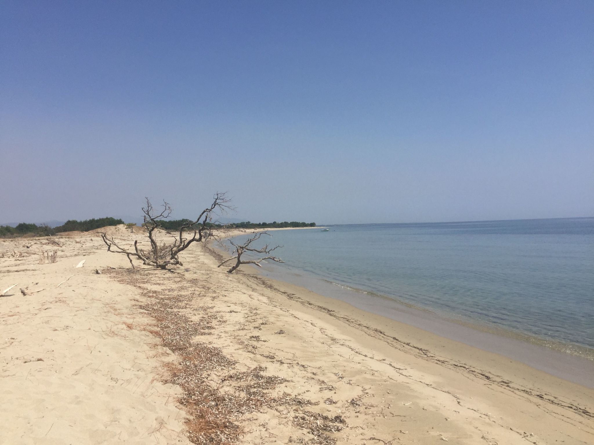 Weingut Punta della guardia zwischen Meer und Gebirge-Drinnen