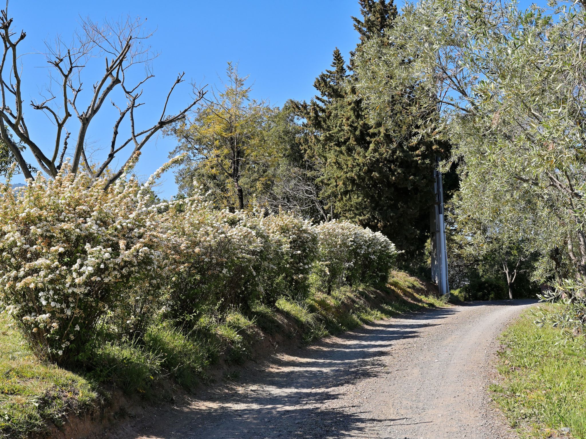 Weingut Punta della guardia zwischen Meer und Gebirge-Drinnen