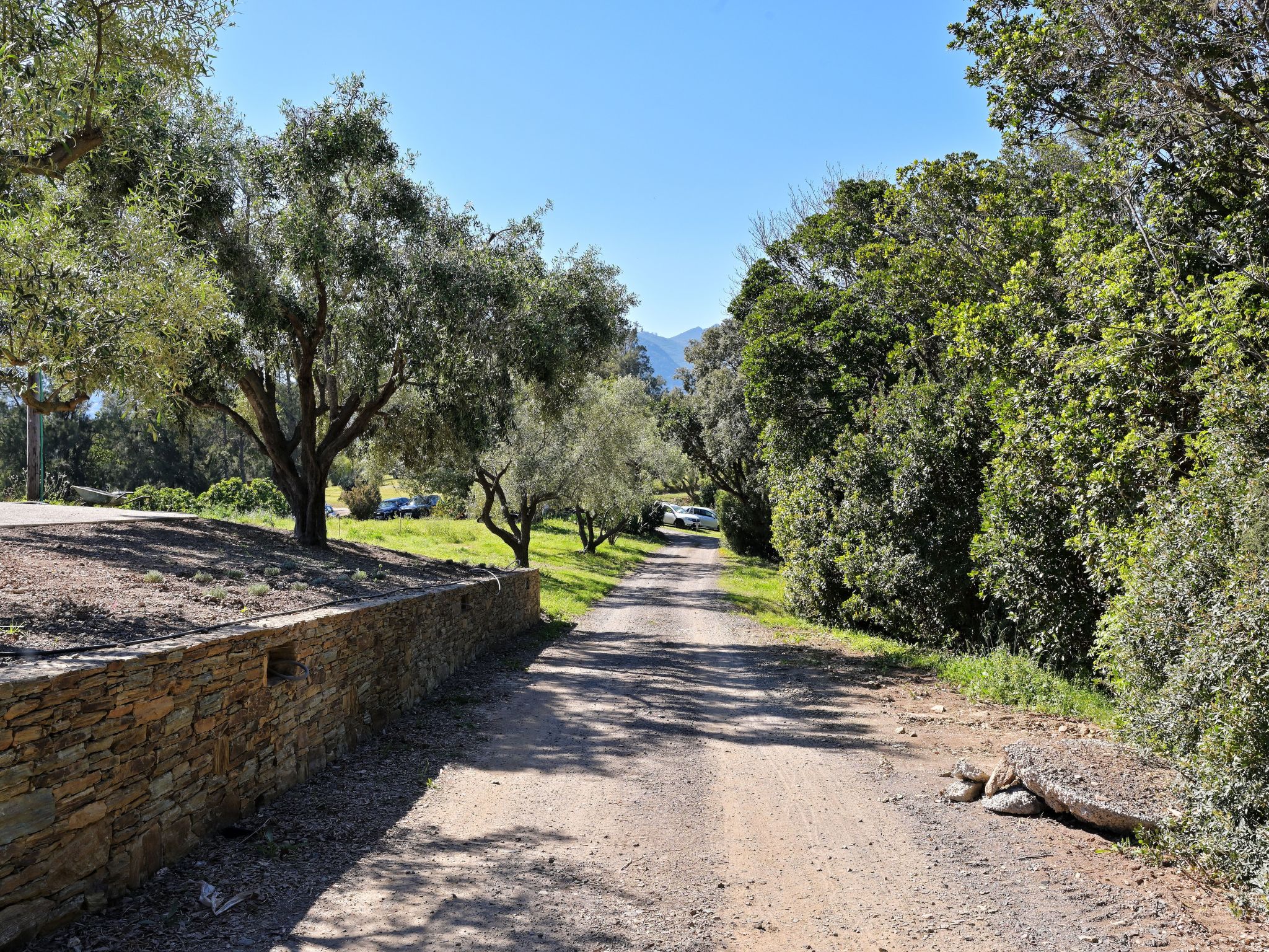 Weingut Punta della guardia zwischen Meer und Gebirge-Drinnen